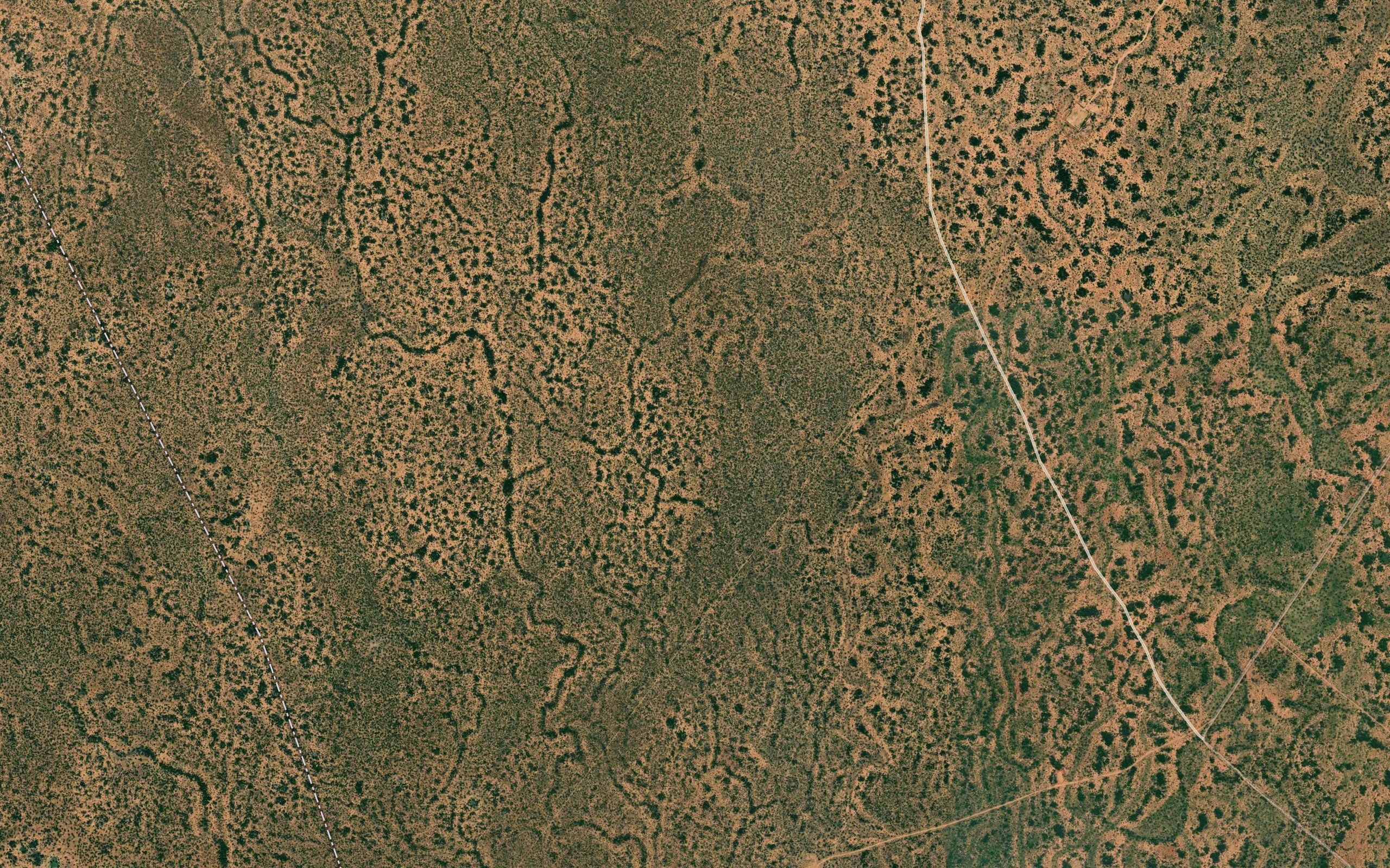 Arabai
