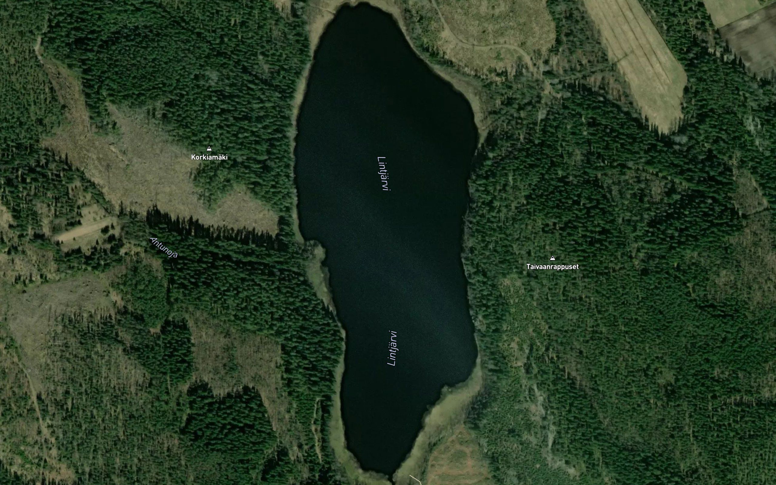Lintjarvi
