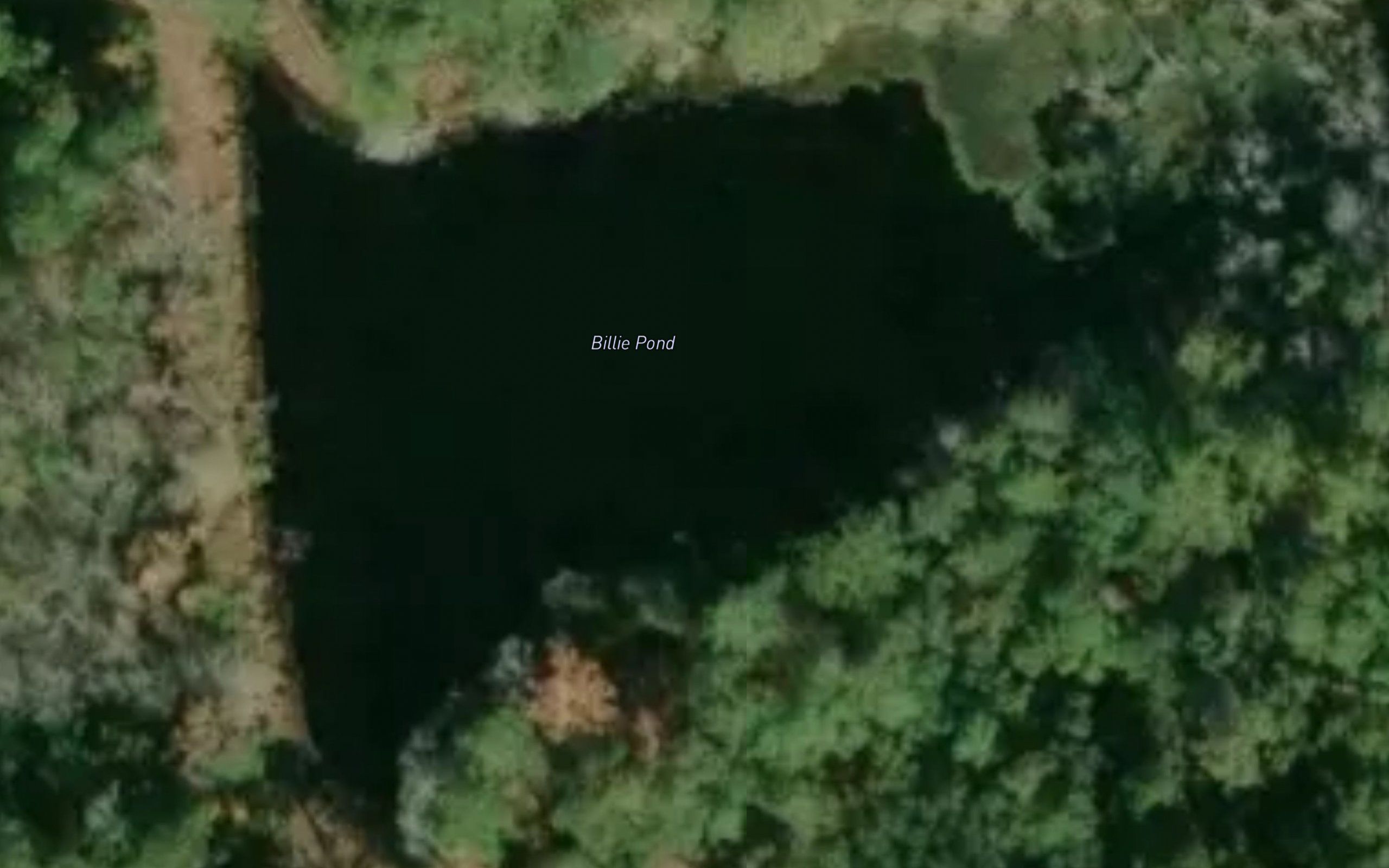 Billie Pond