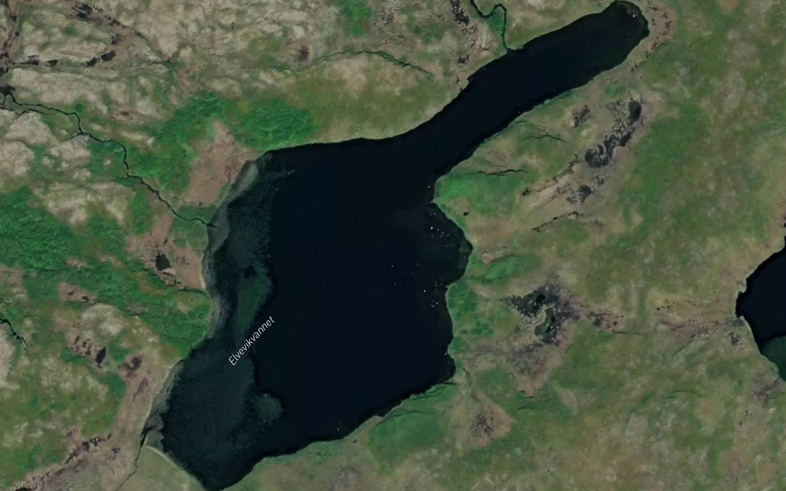 Elvevikvatnet