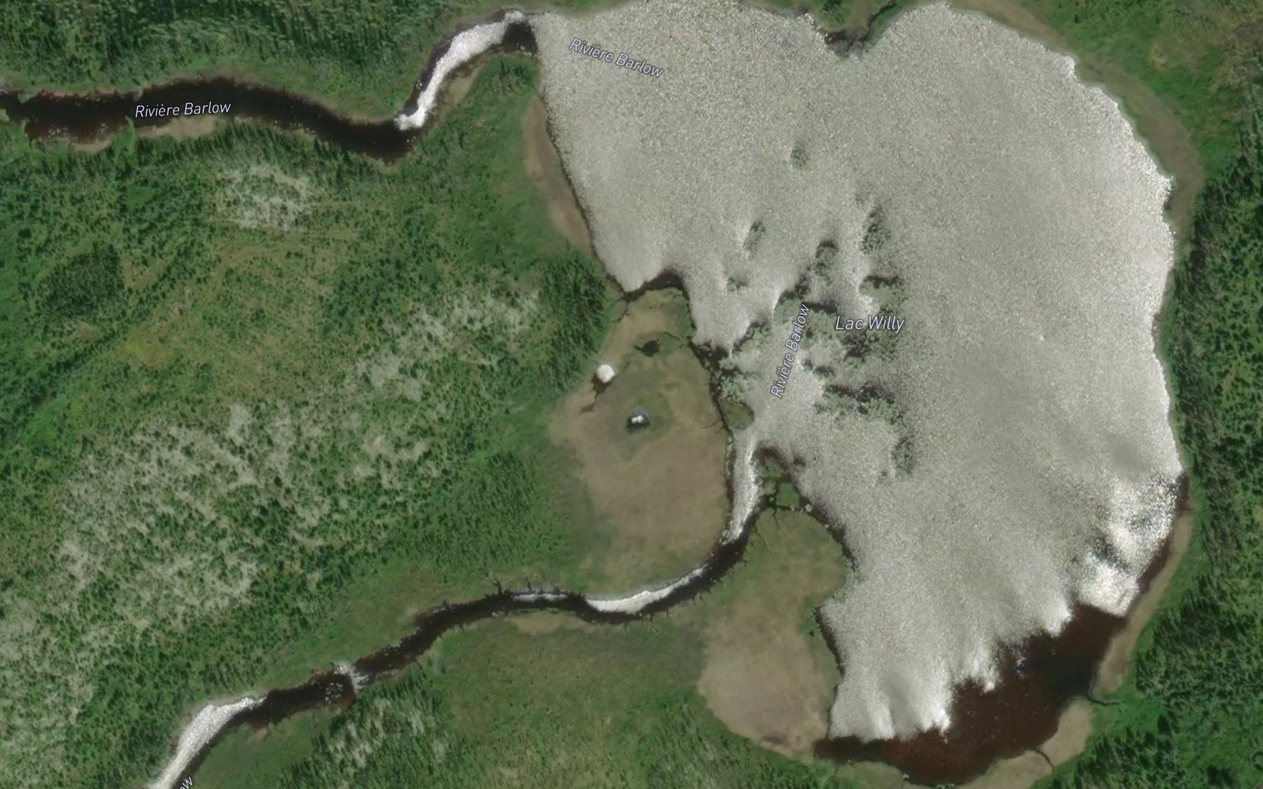 Satellite map of the Lac Willy