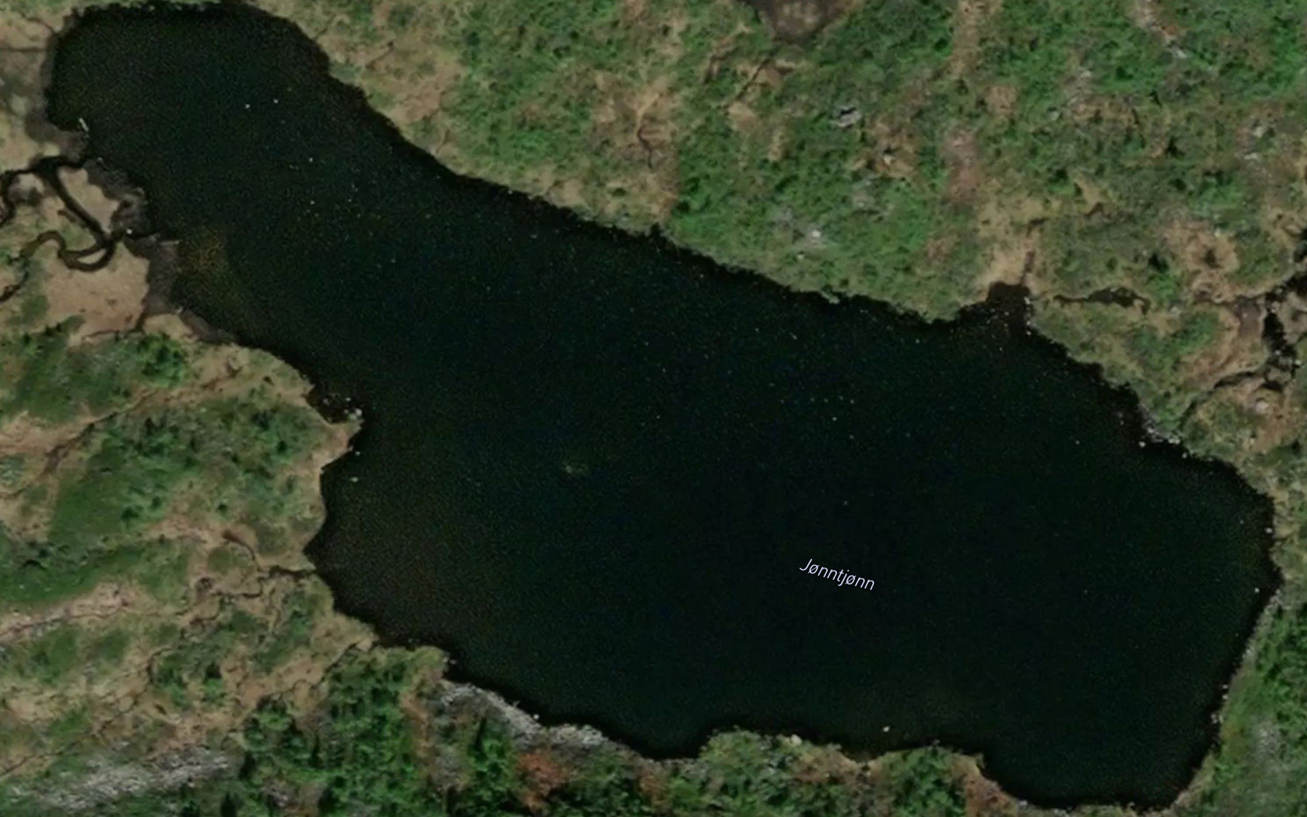 Gjentjorn