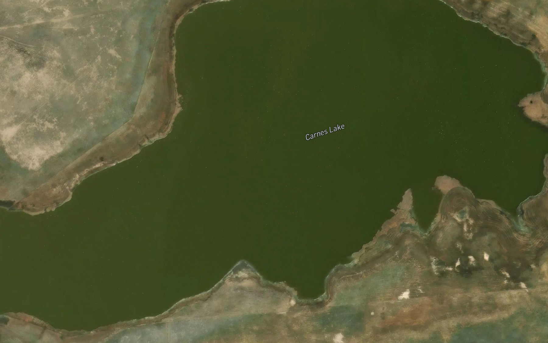Satellite map of the Carnes Lake
