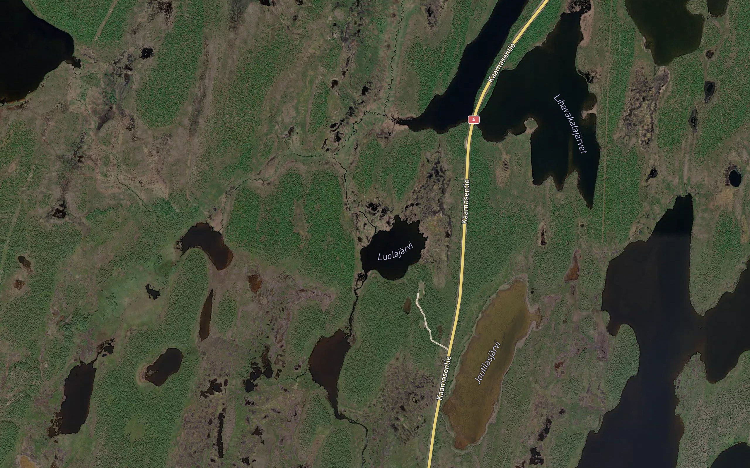 Kutuoja