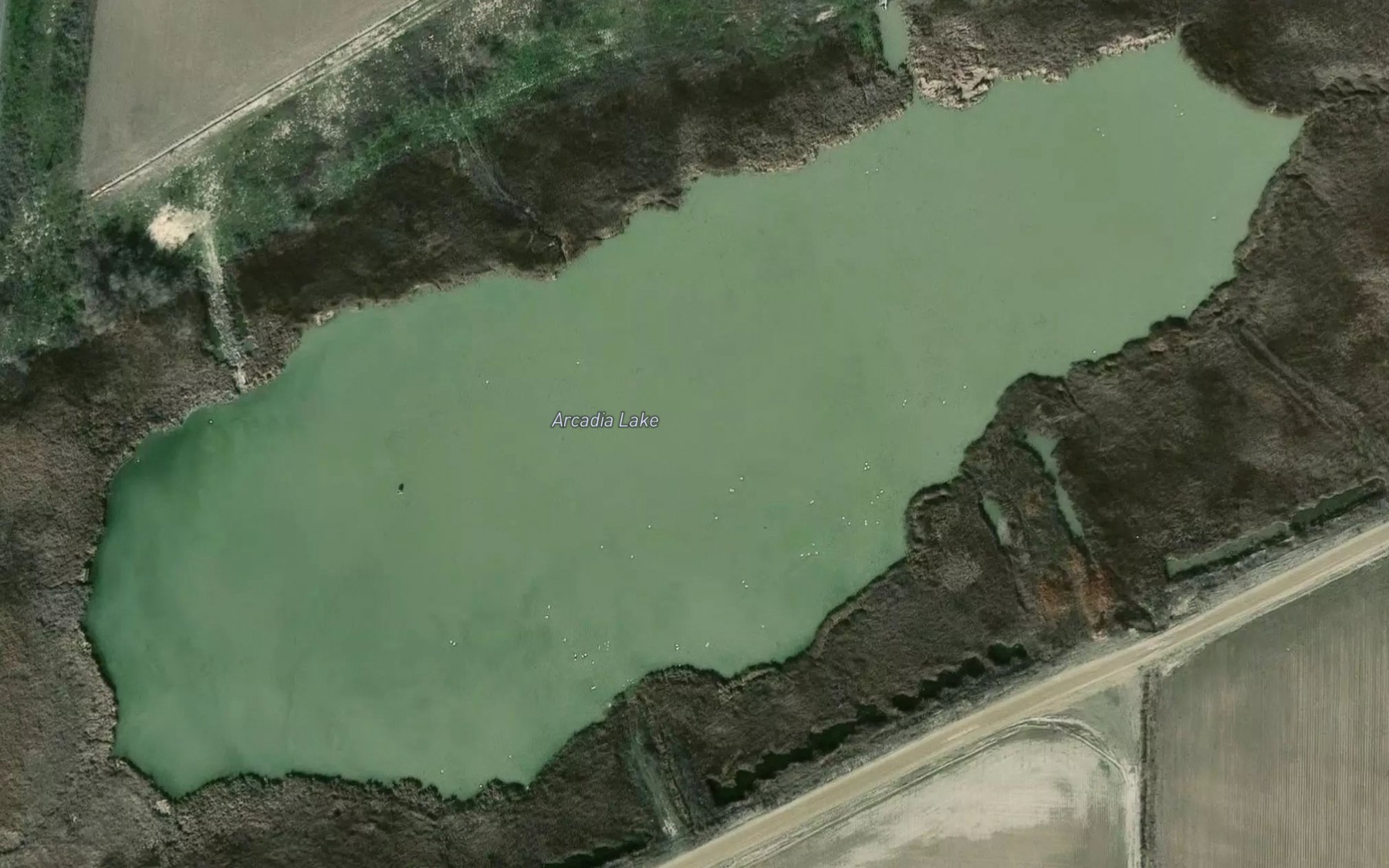 Satellite map of the Arcadia Lake