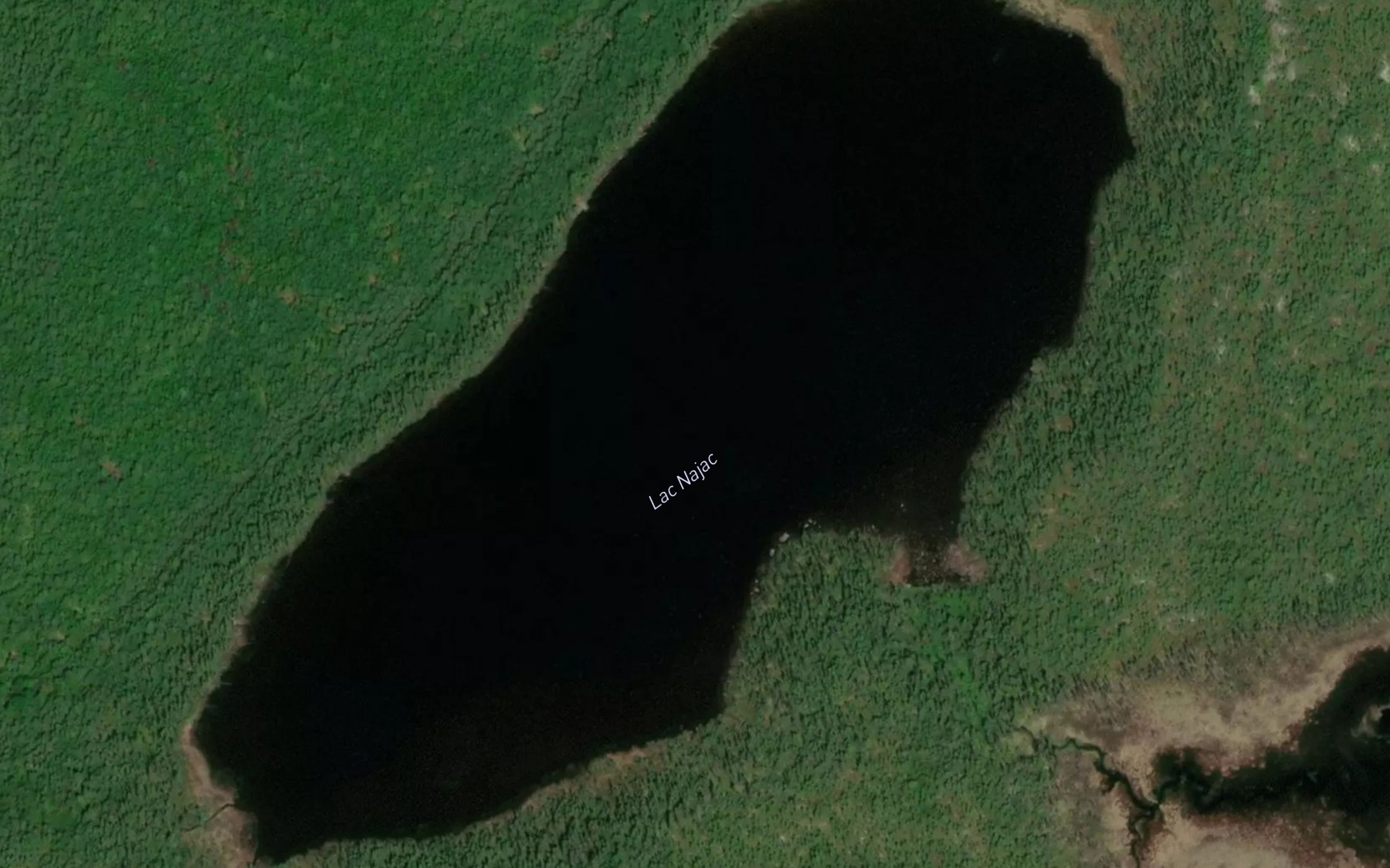 Satellite map of the Lac Najac