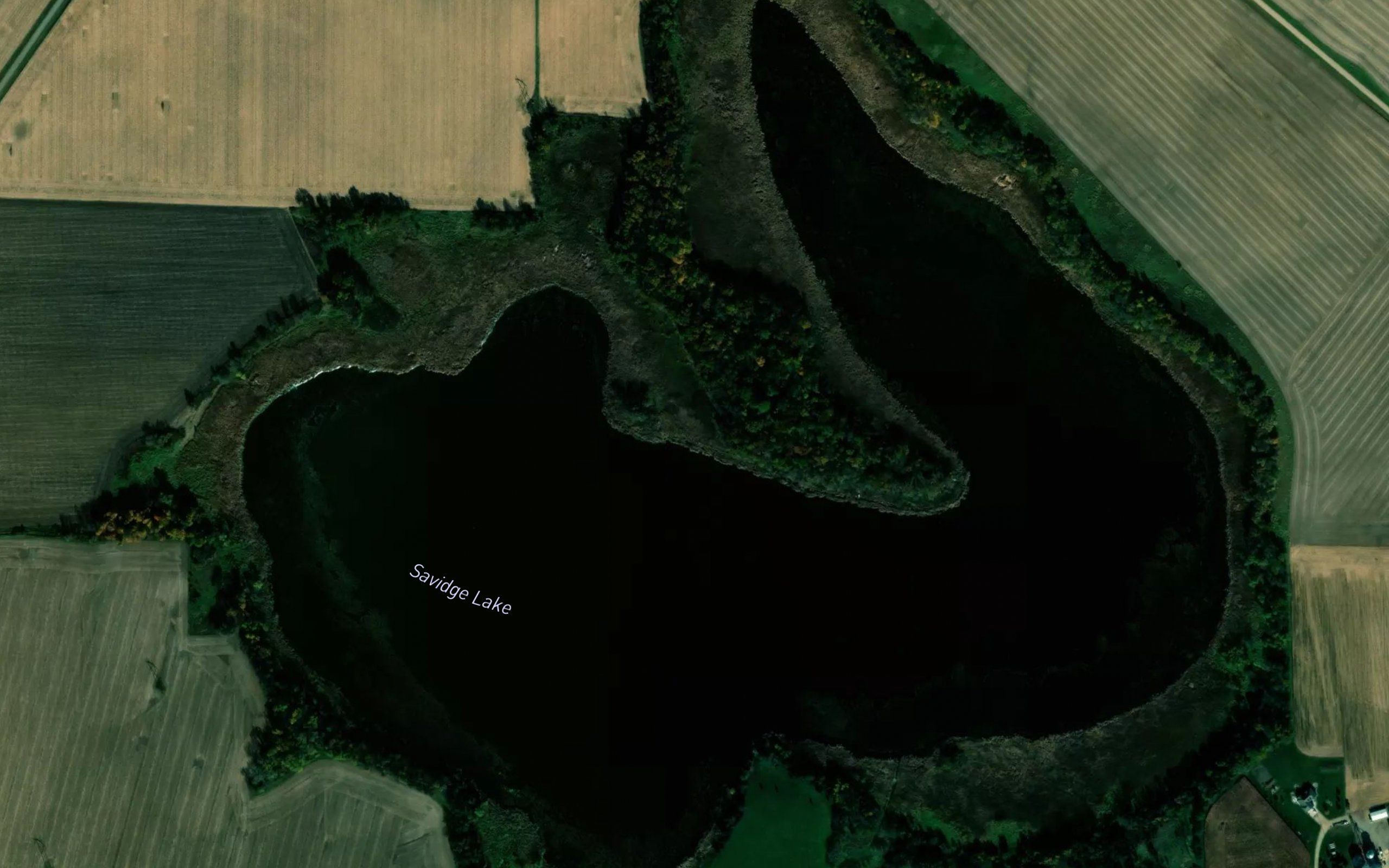 Savidge Lake