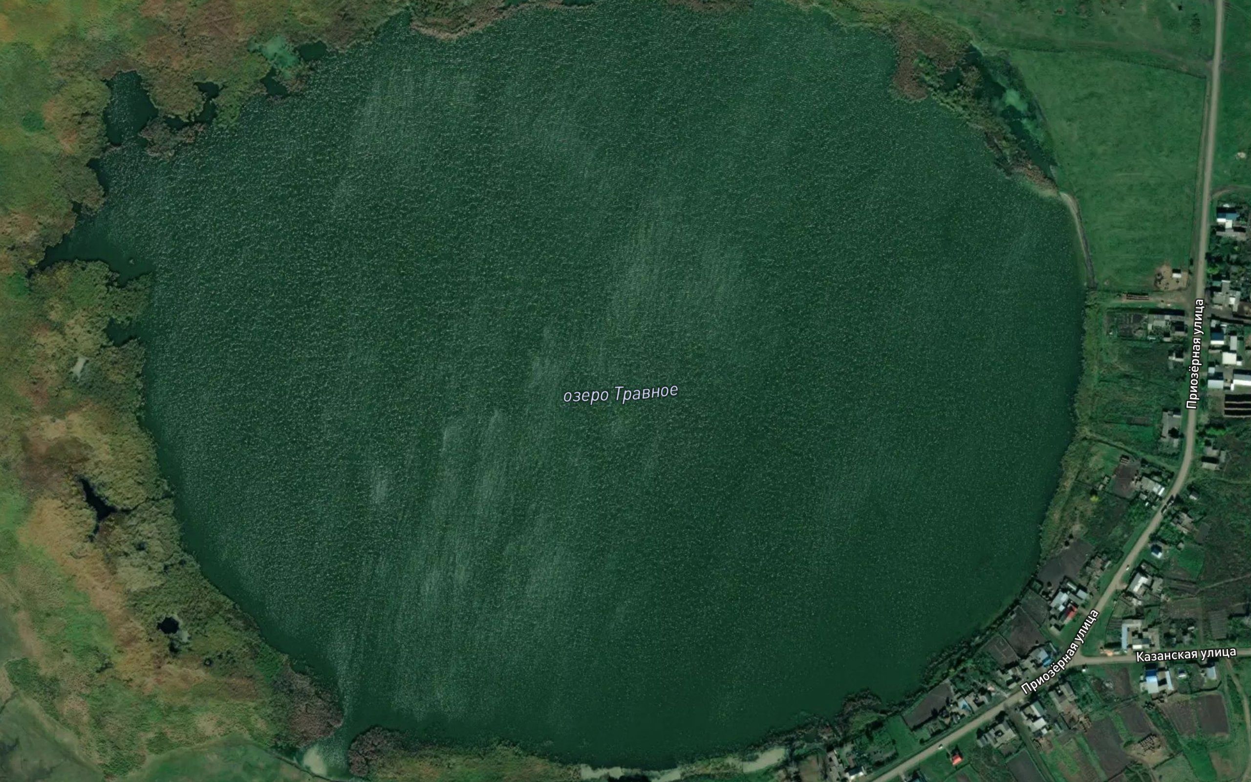 Ozero Travnoye