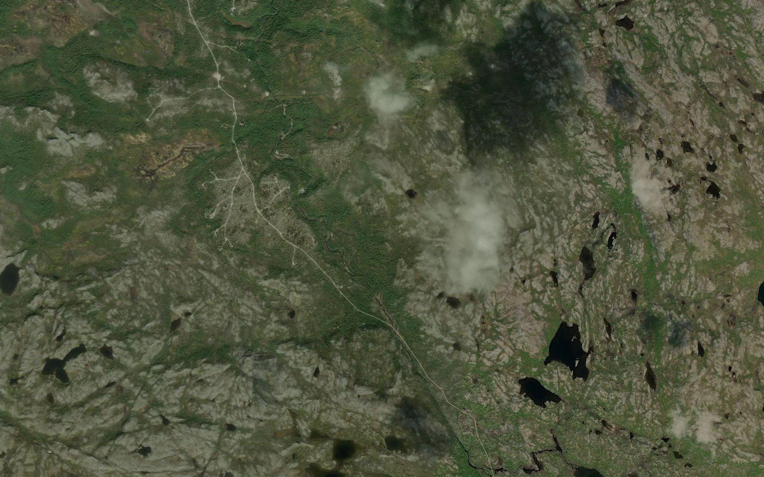 Margittaoja