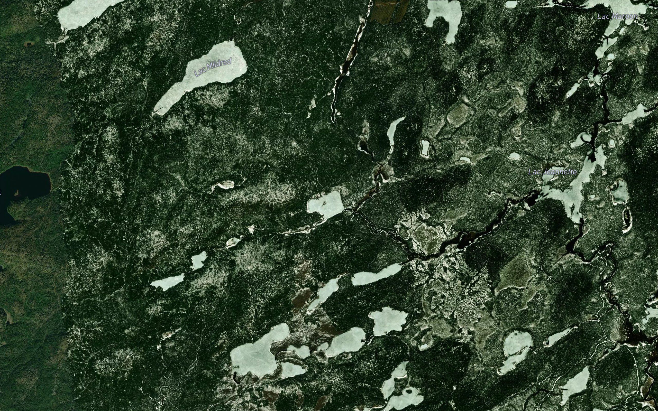 Lac Zaza