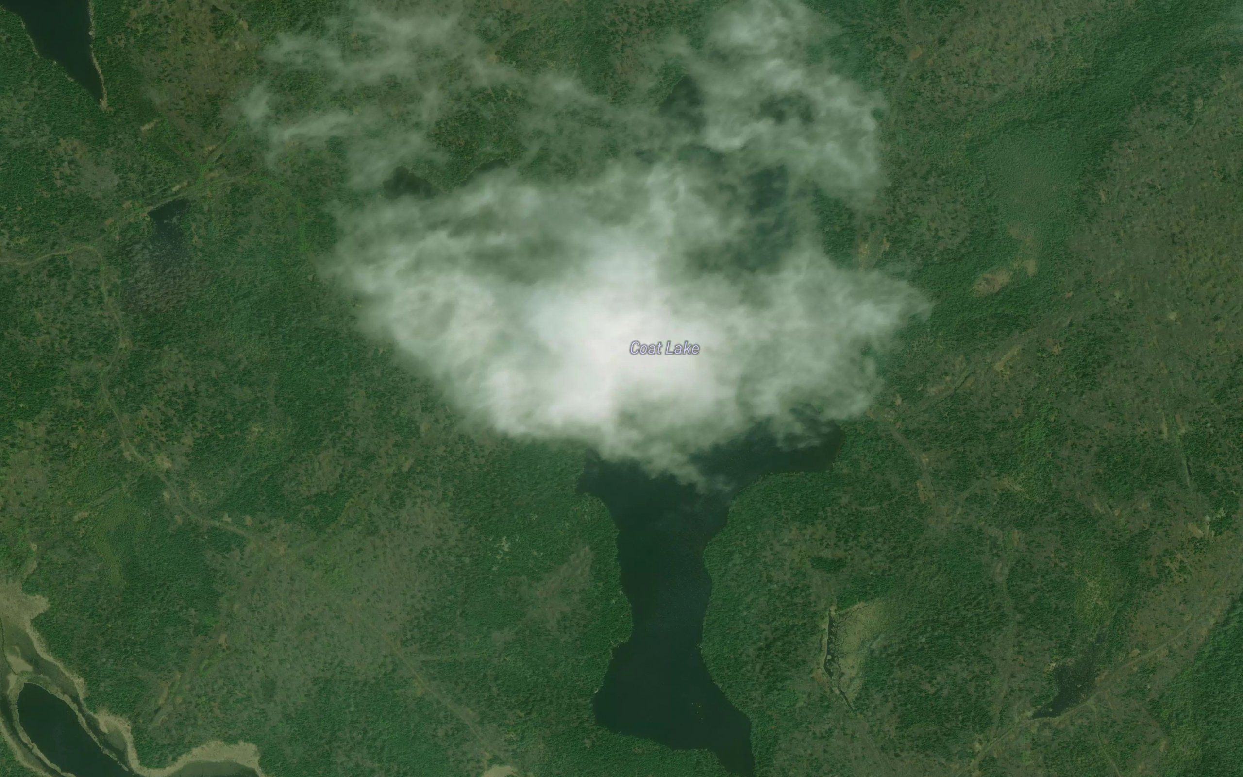 Coat Lake