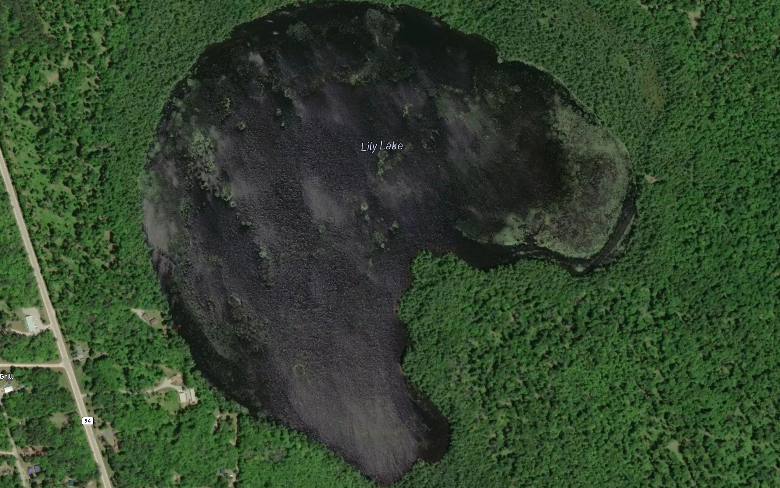 Lily Lake