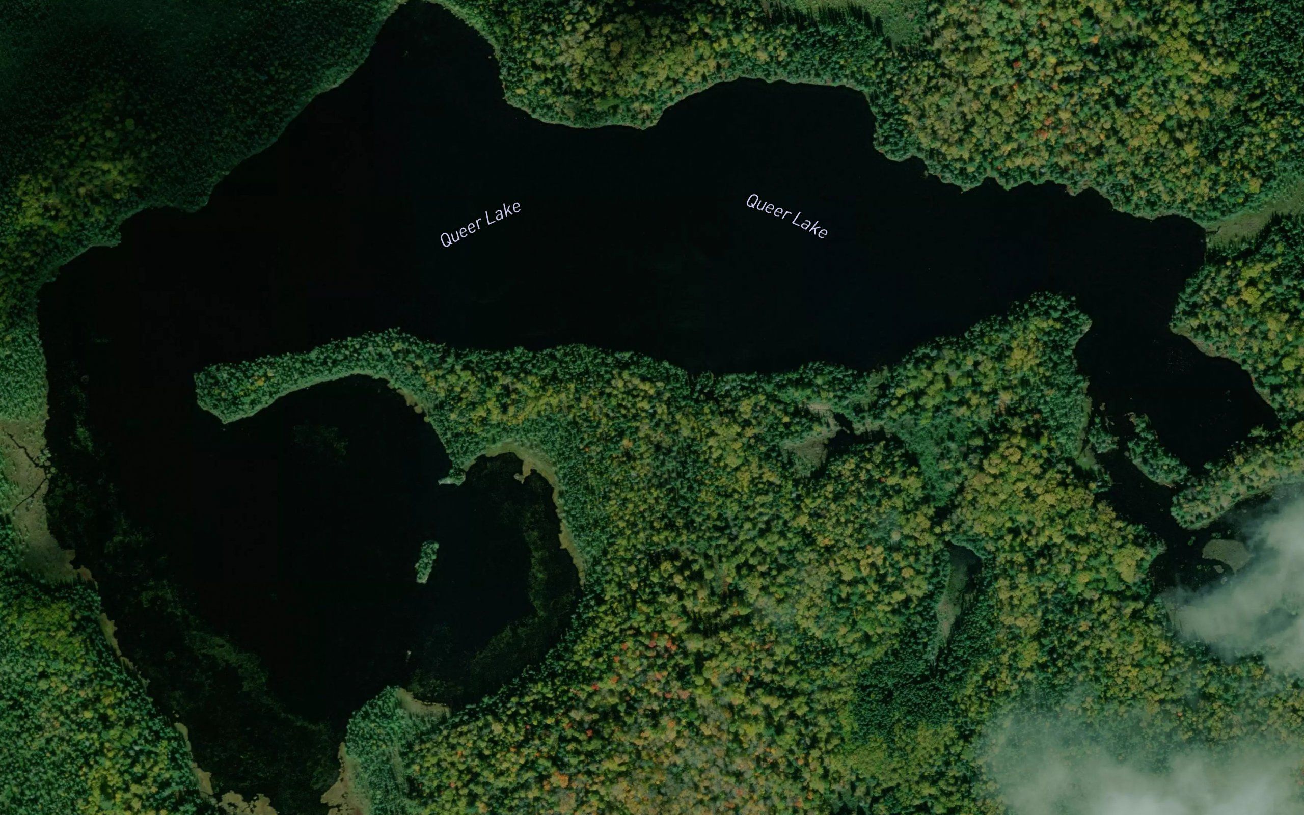 Queer Lake