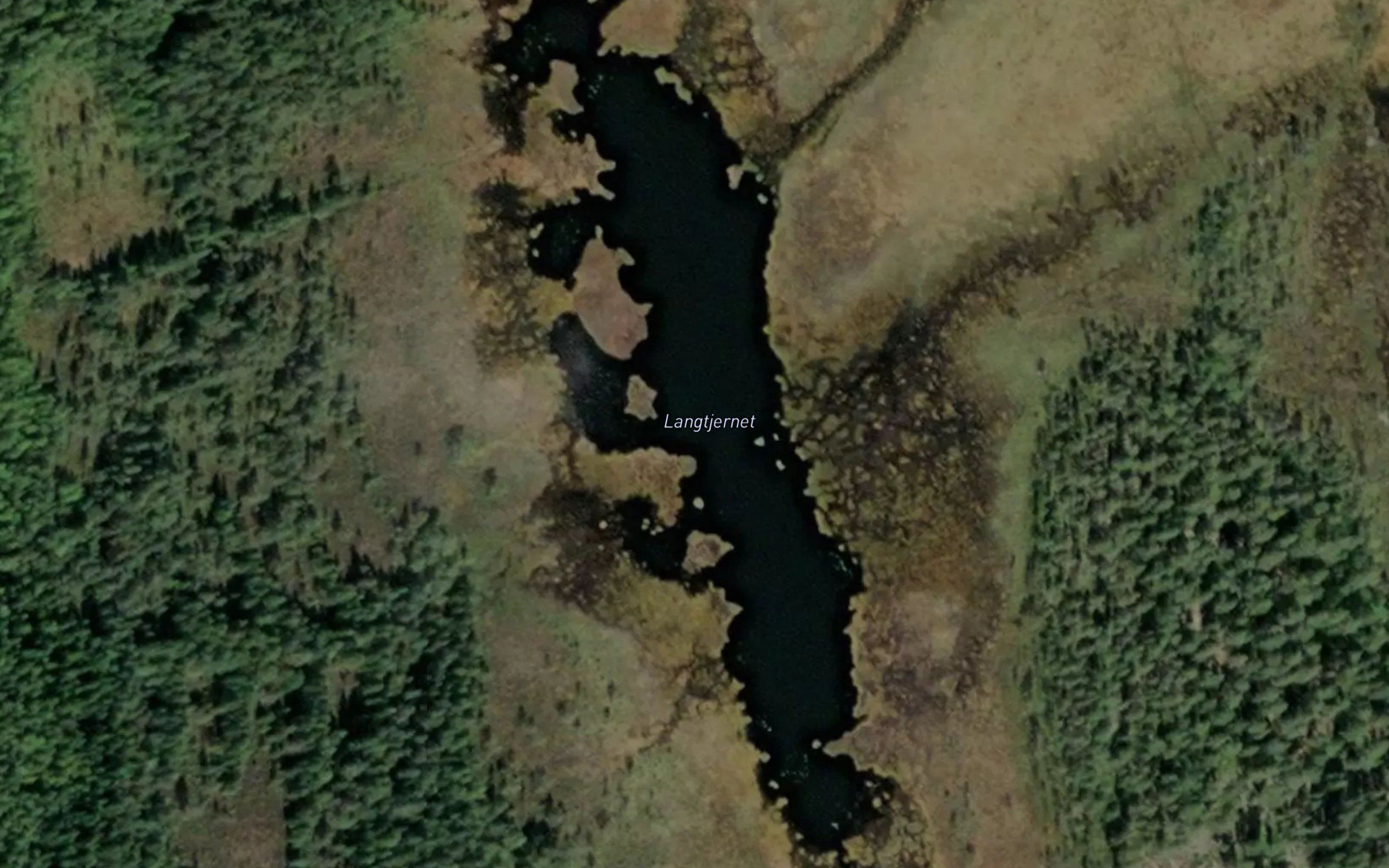 Langtjernet