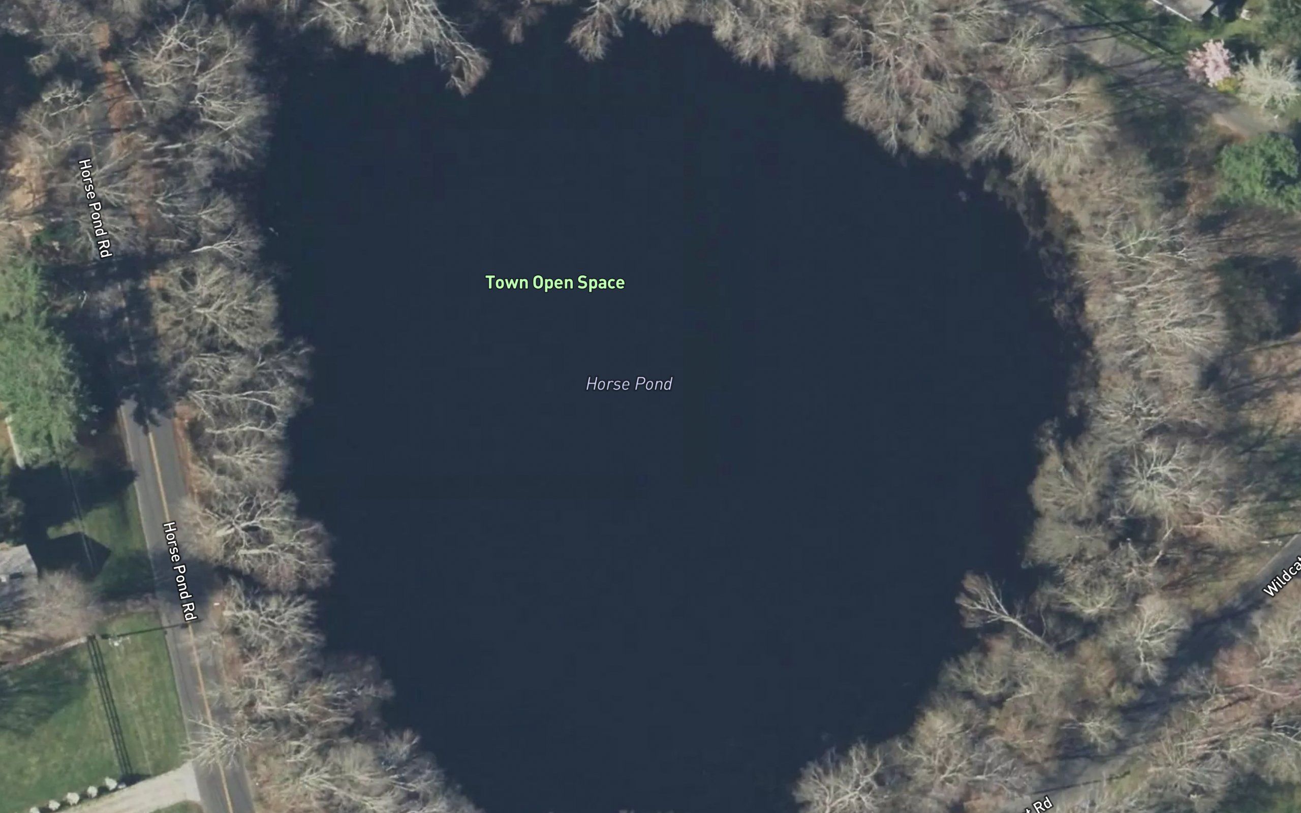 Horse Pond