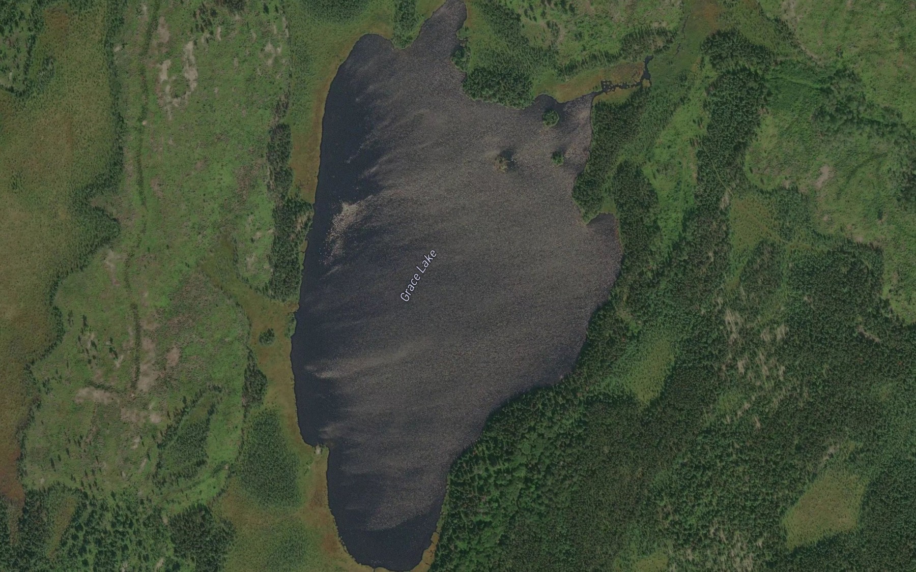Satellite map of the Grace Lake