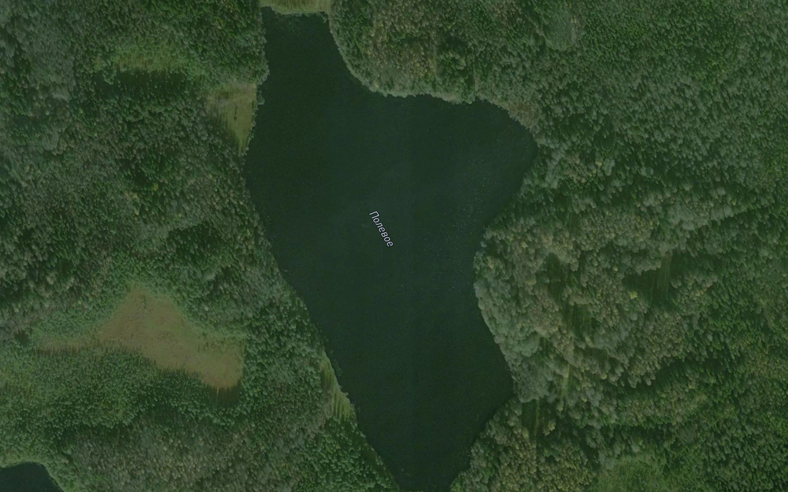 Ozero Polevoye