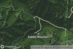 Saddle Mountain Springs