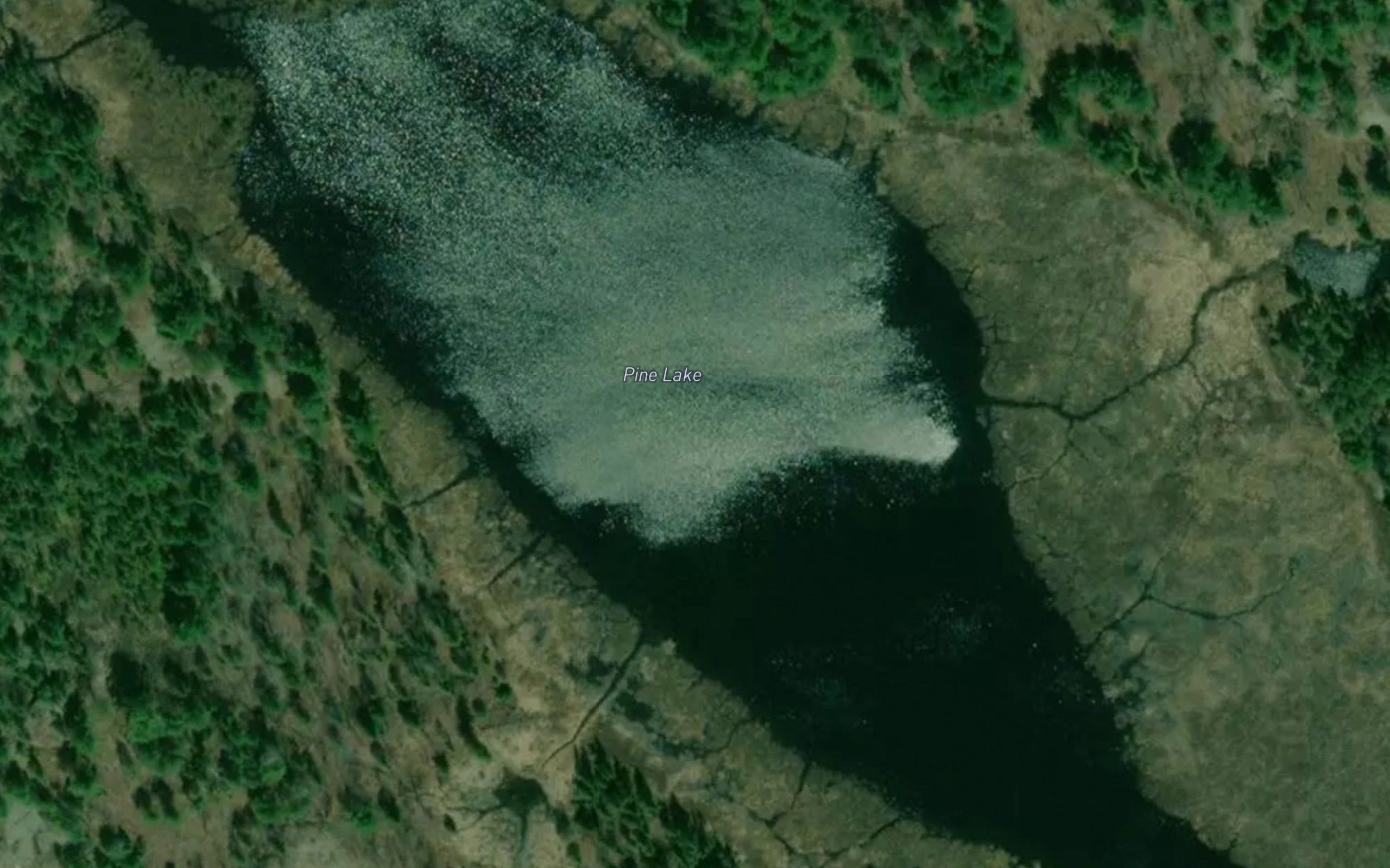 Pine Lake
