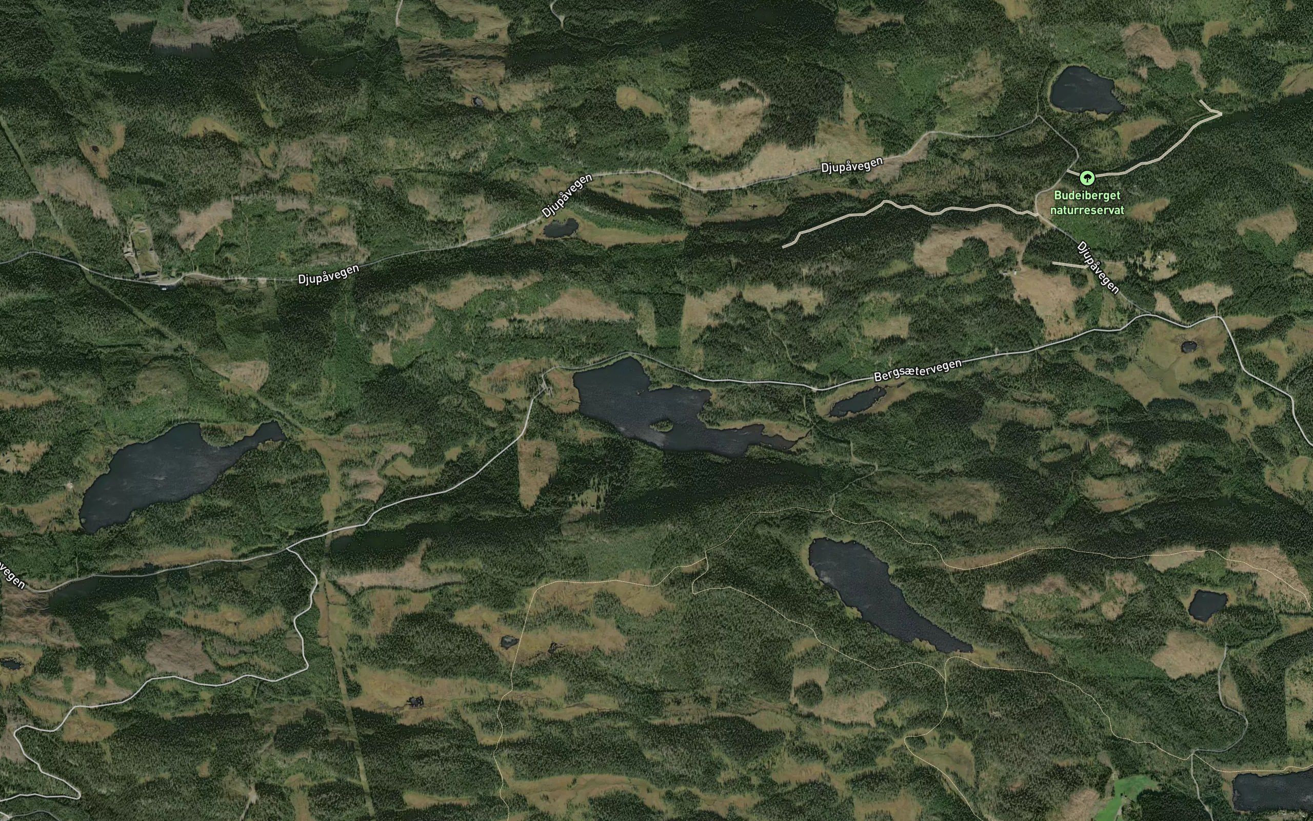 Bergsaetervatn