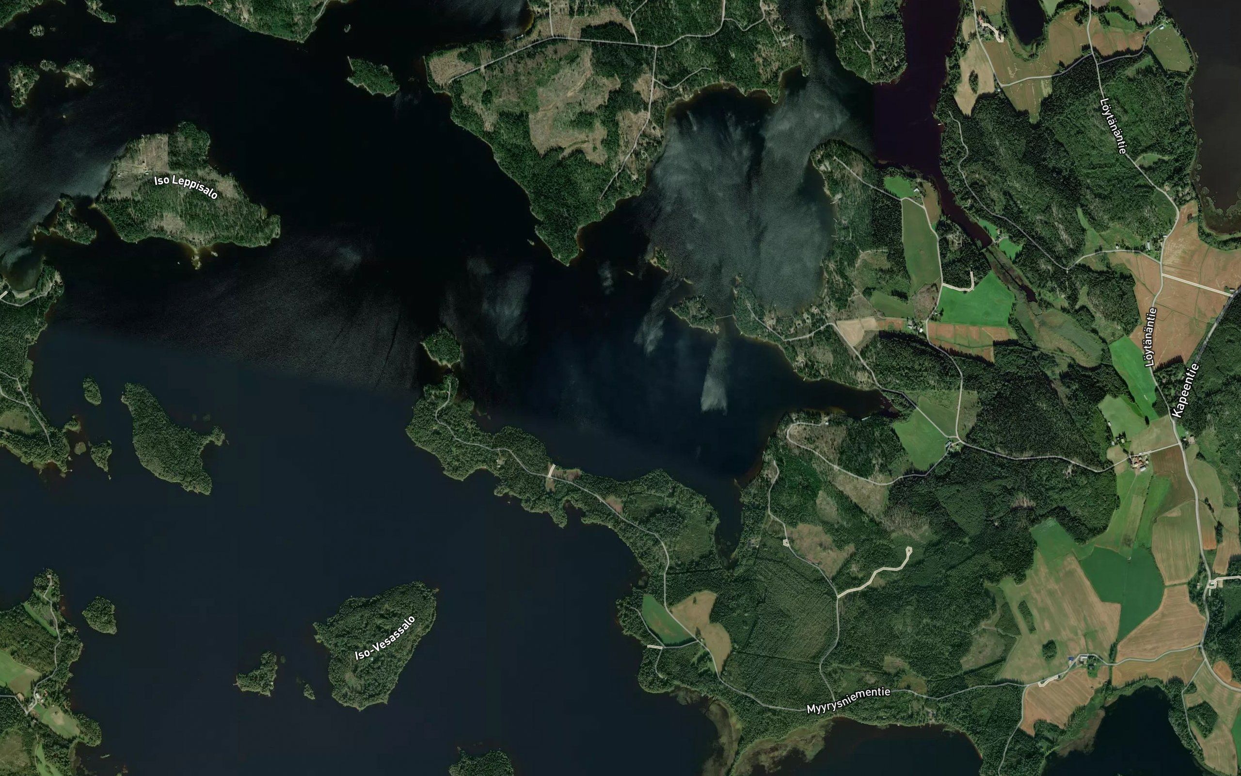 Rimminselka