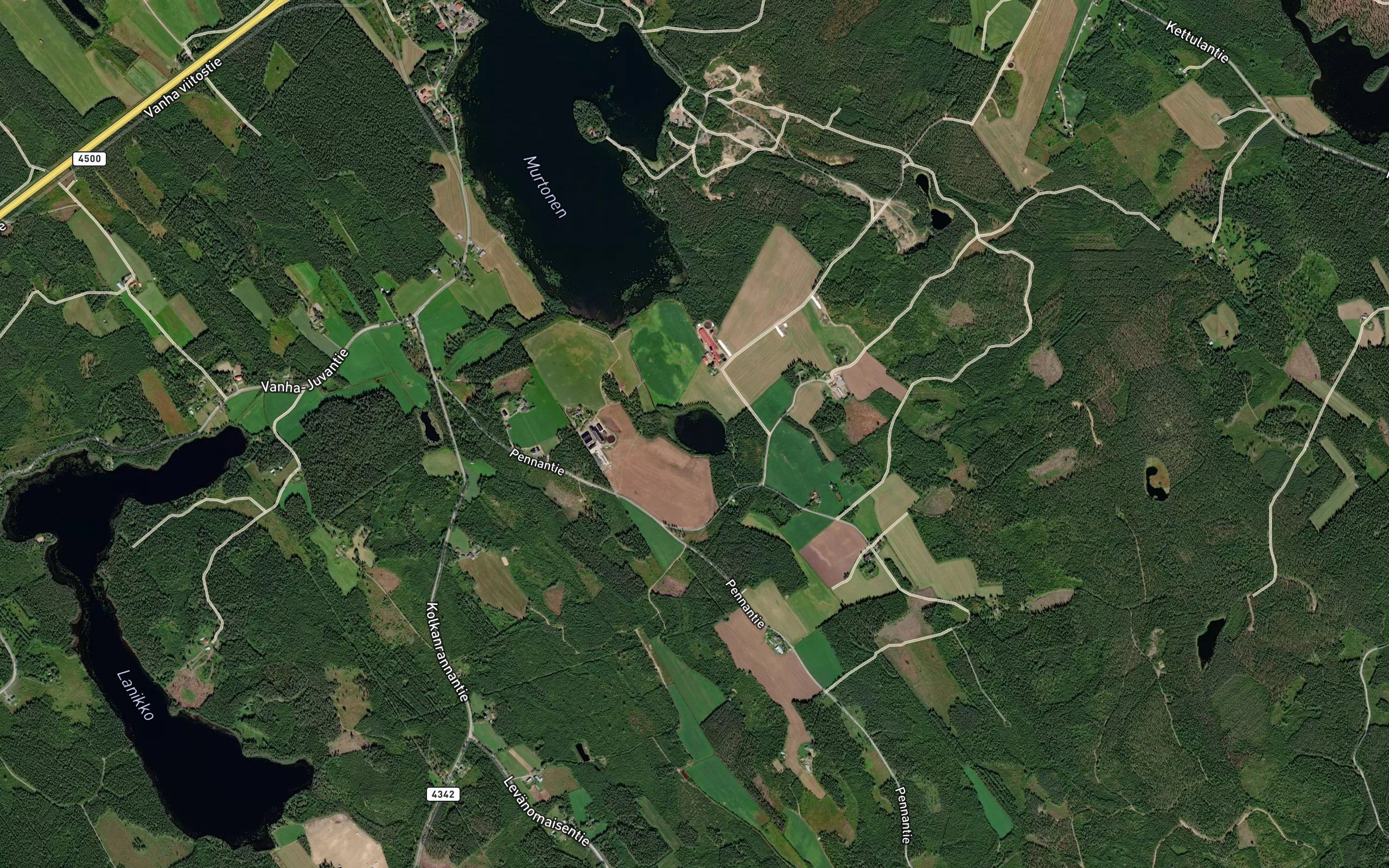 Haukilampi