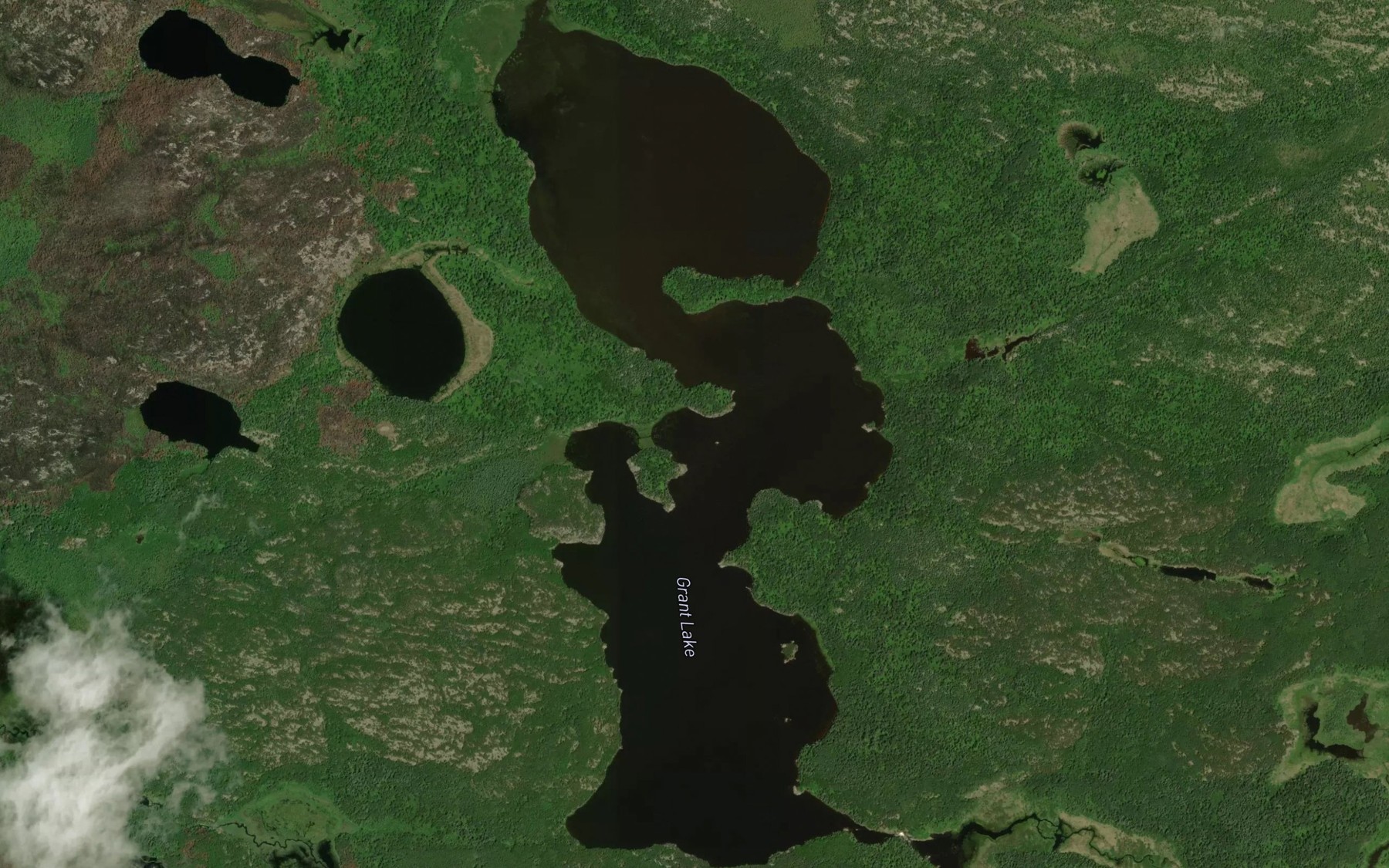 Satellite map of the Grant Lake