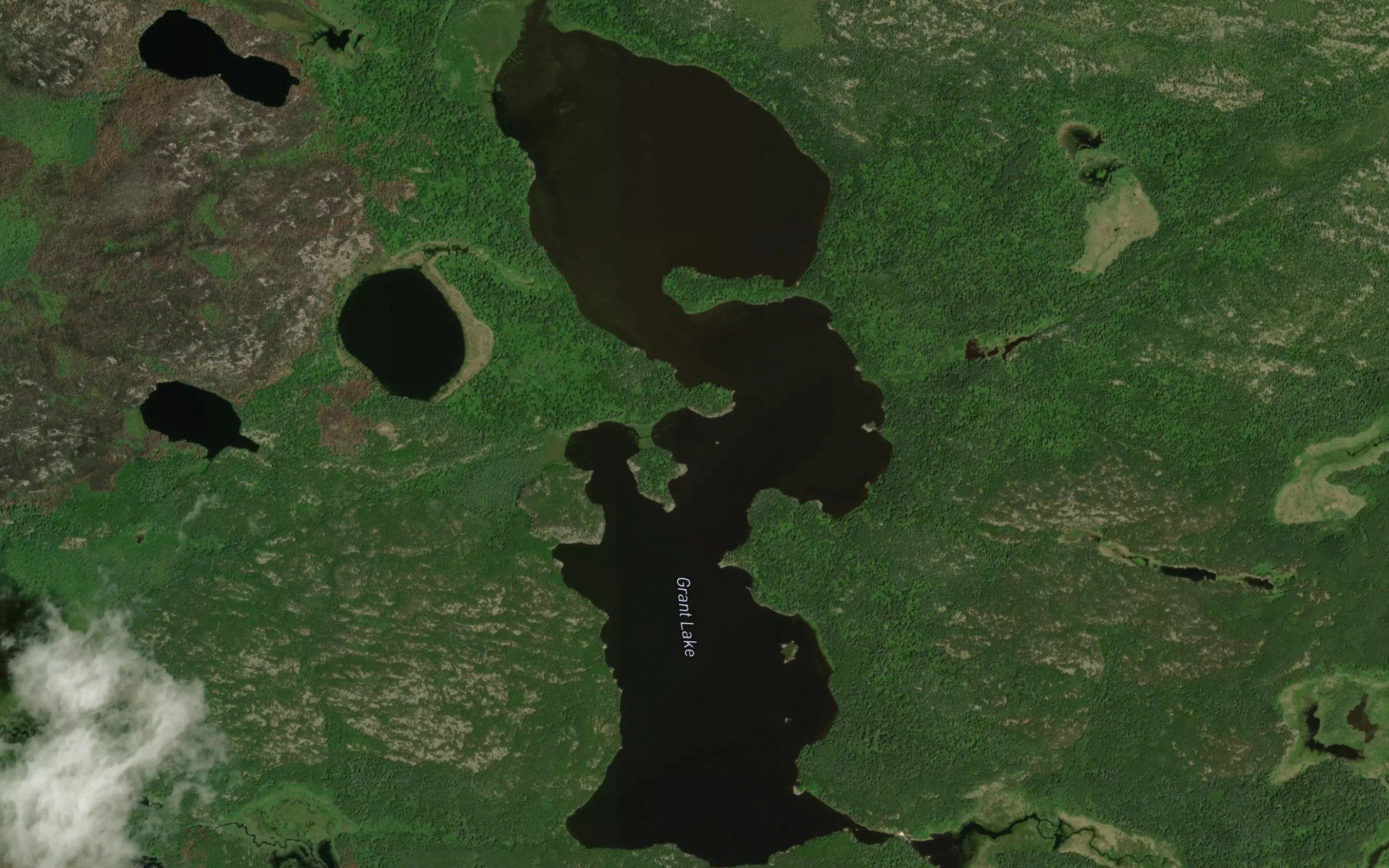 Grant Lake