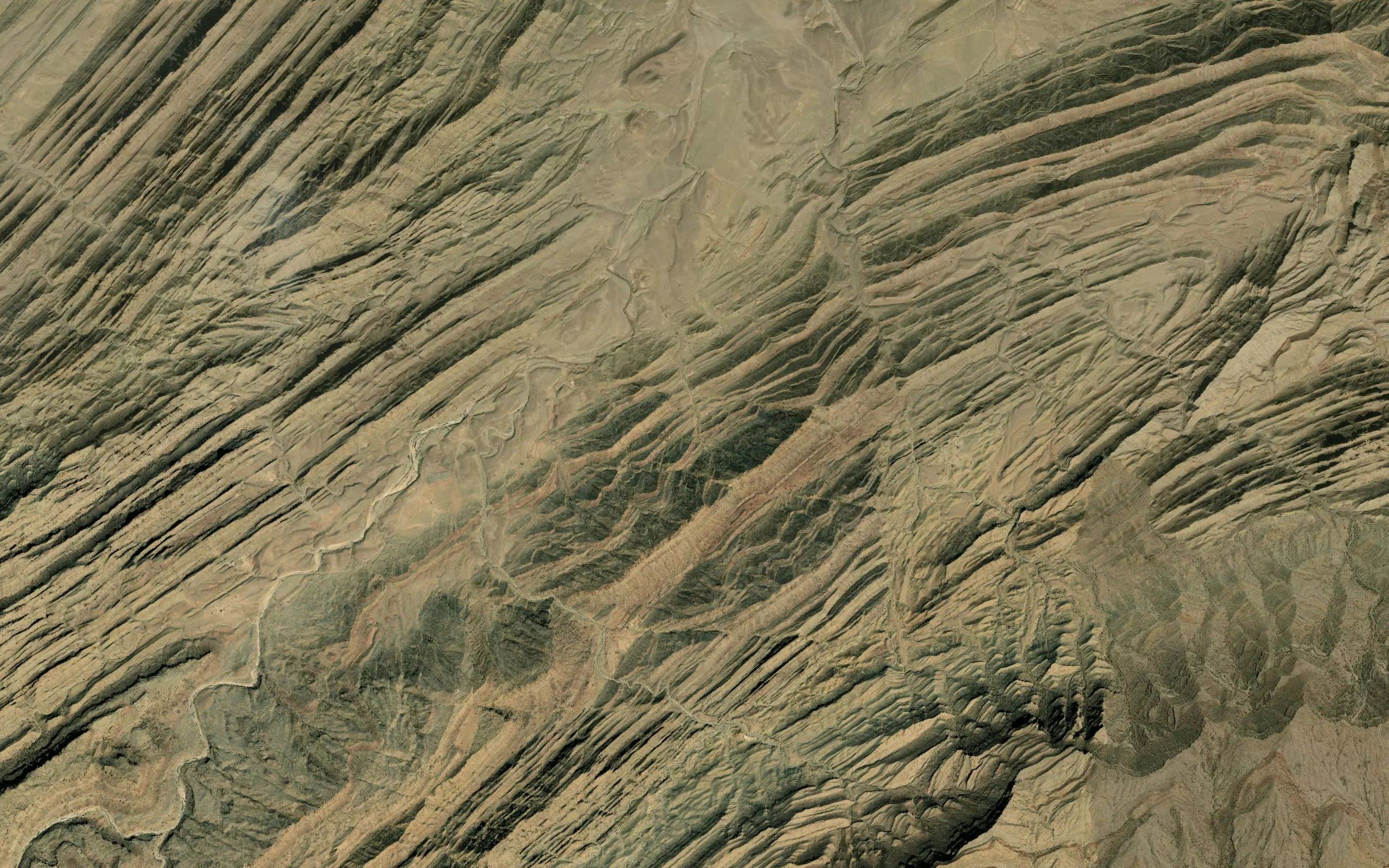 Pastakai China