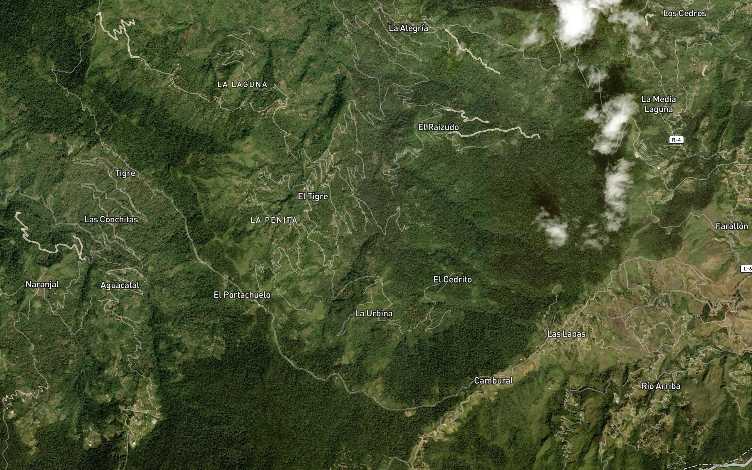 Quebrada El Cedrito