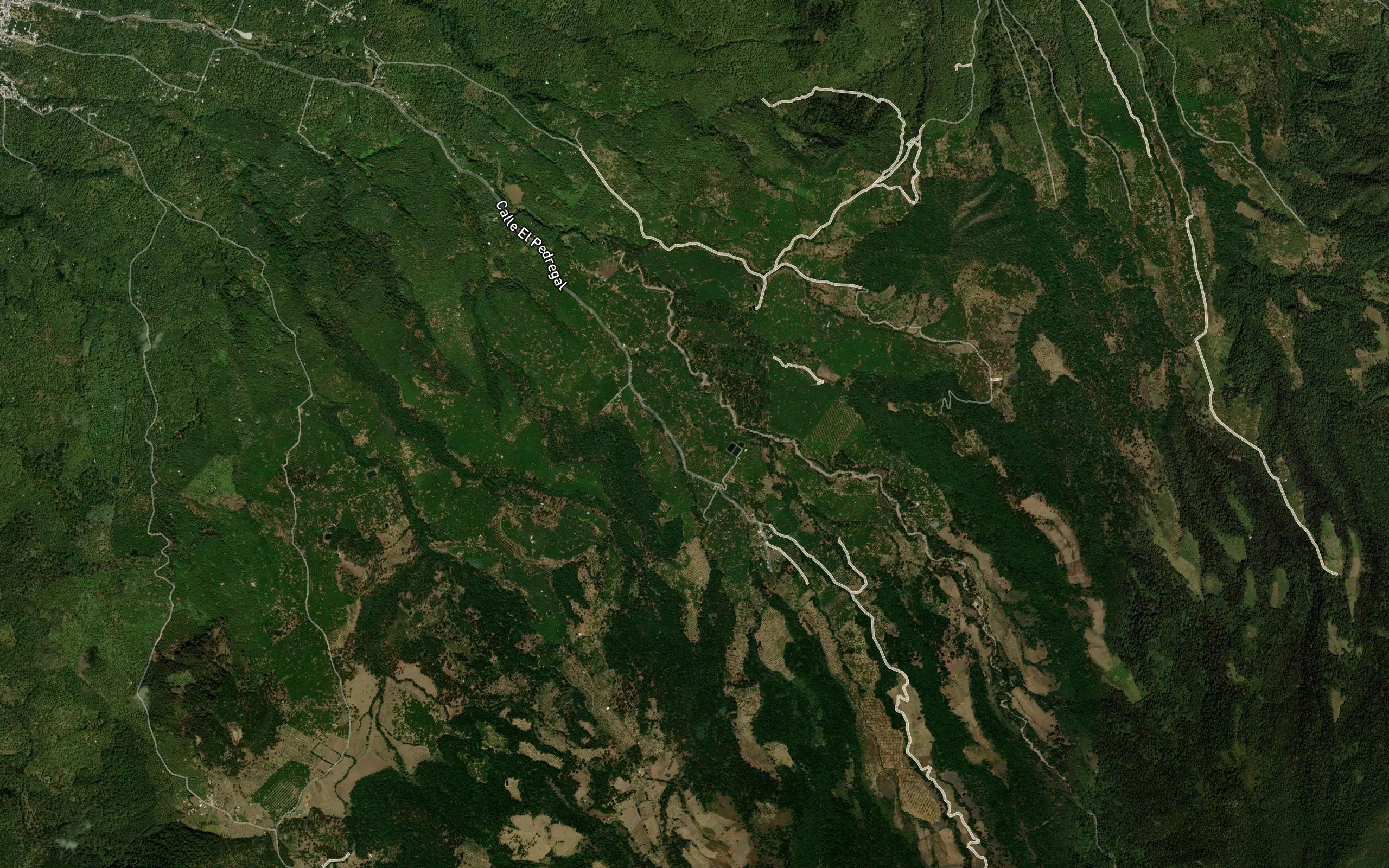 Barranca Chondo