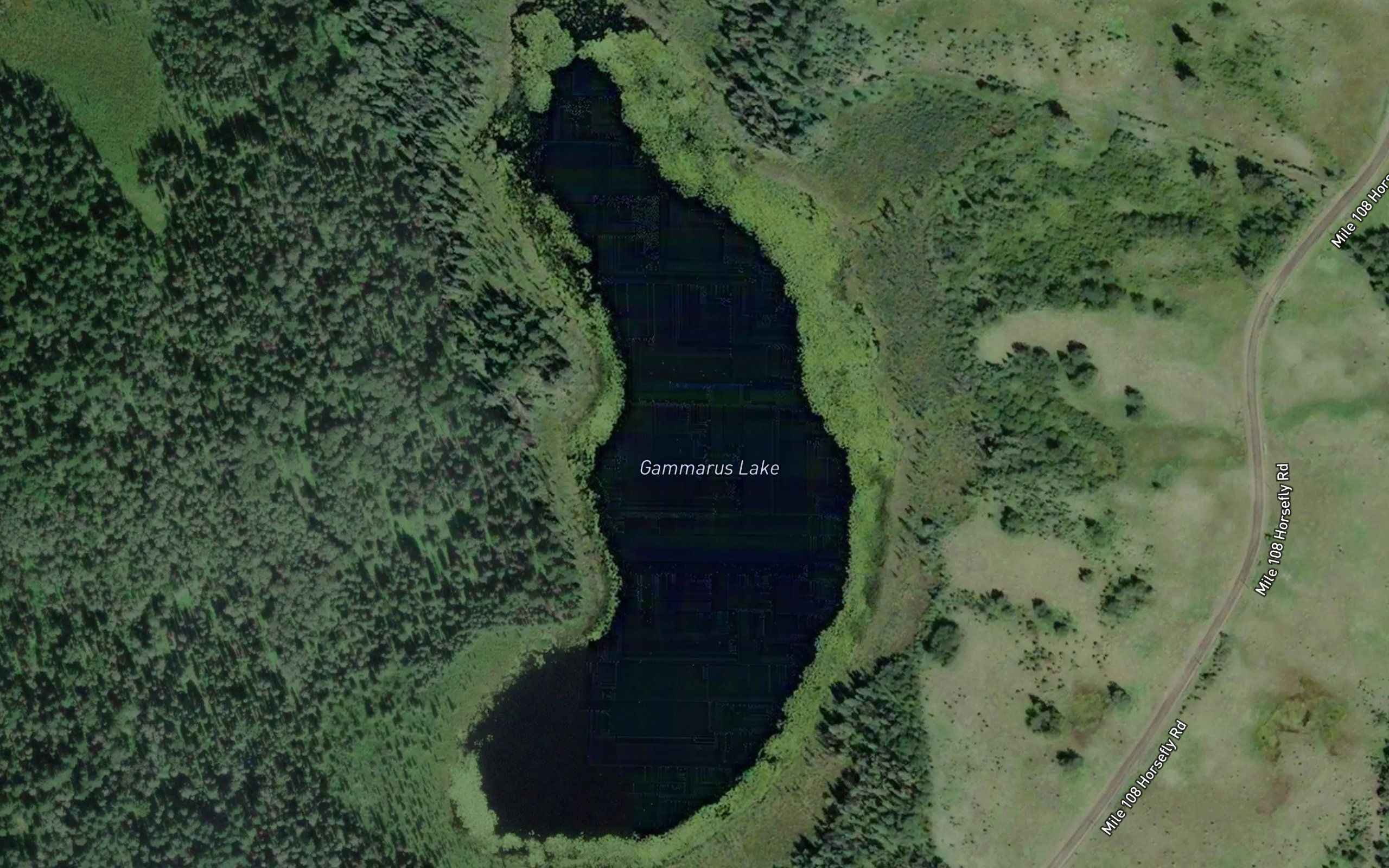 Gammarus Lake