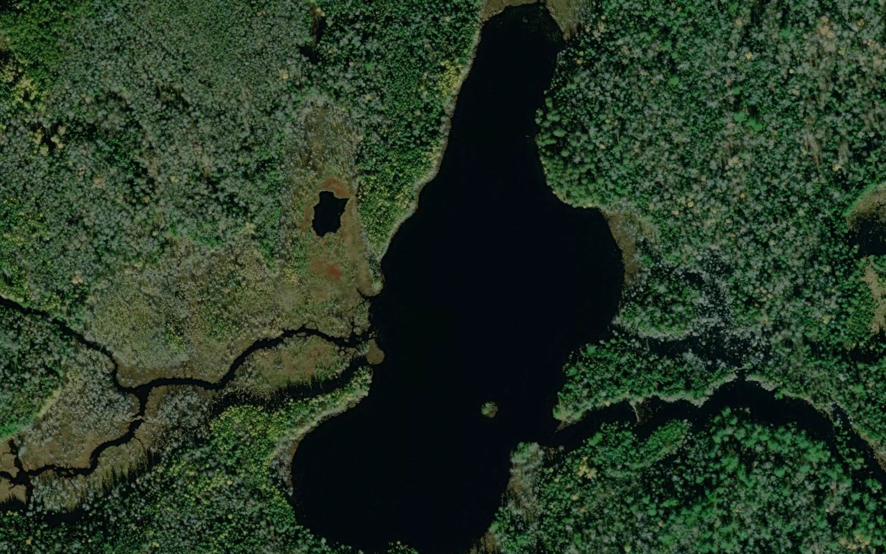 Satellite map of the Lac du Brochet