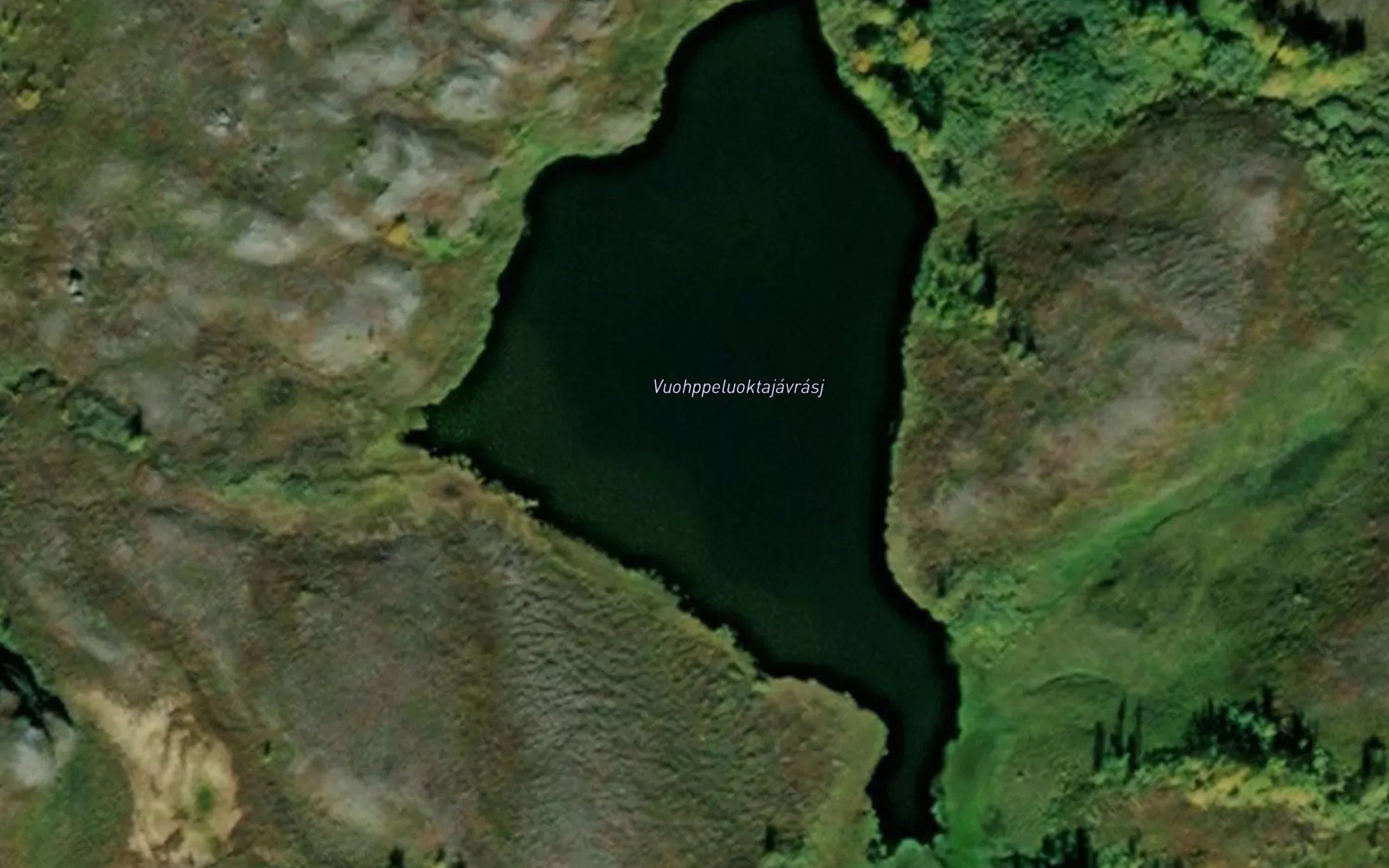 Vuoppiluoktajavras