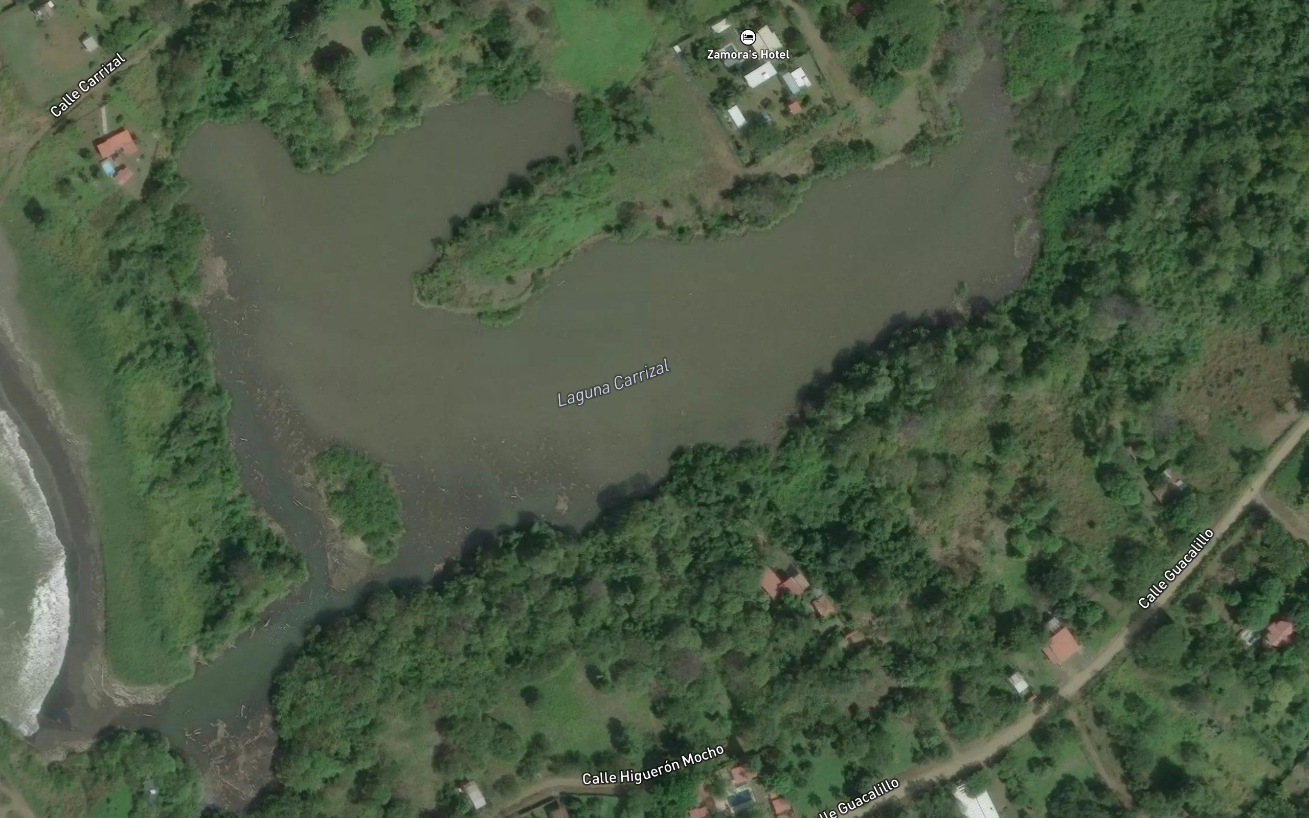 Laguna Carrizal