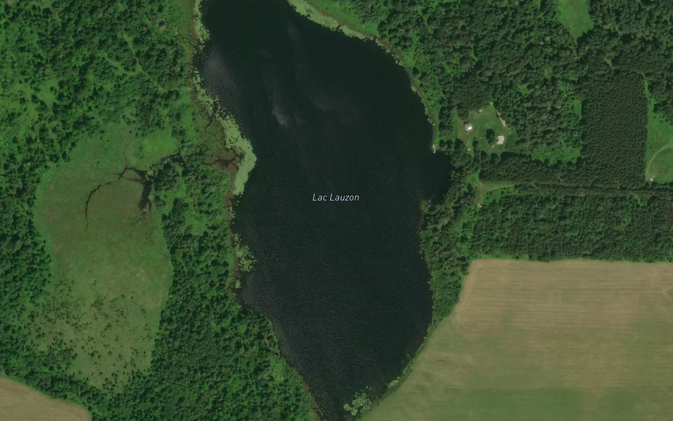 Lac Lauzon