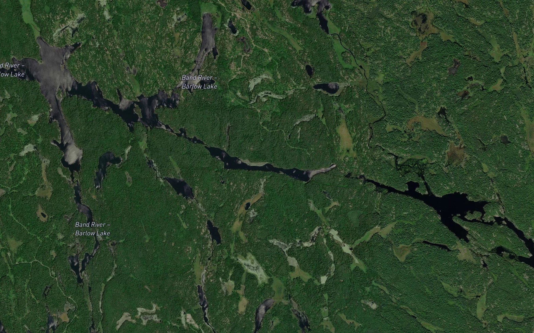Satellite map of the Campbell Lake
