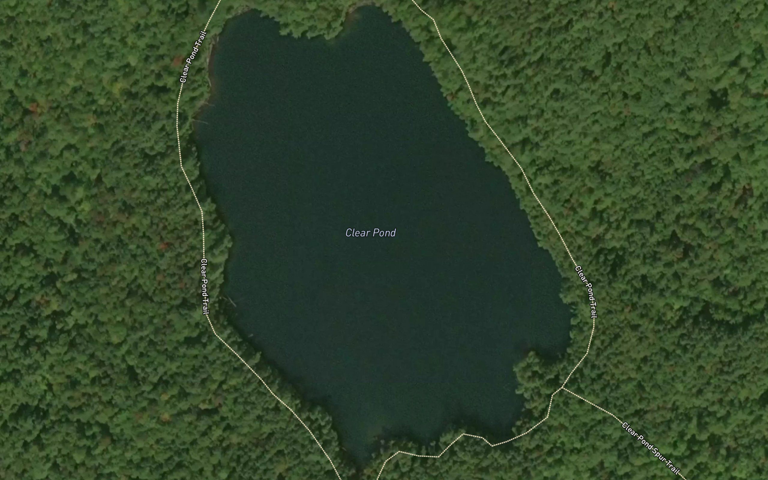 Clear Pond