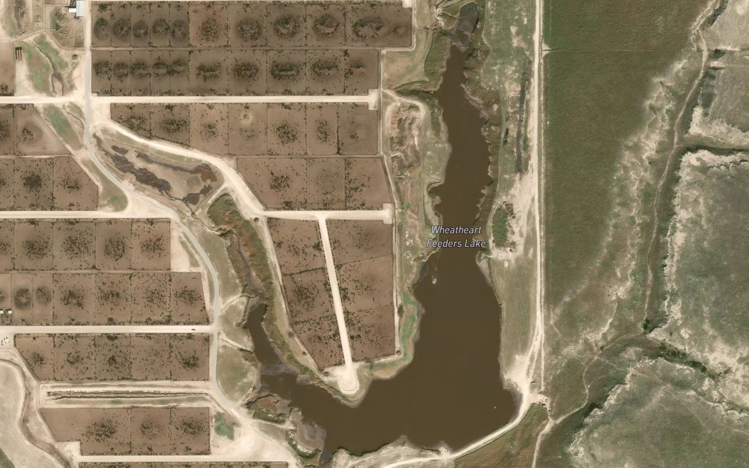 Wheatheart Feeders Lake