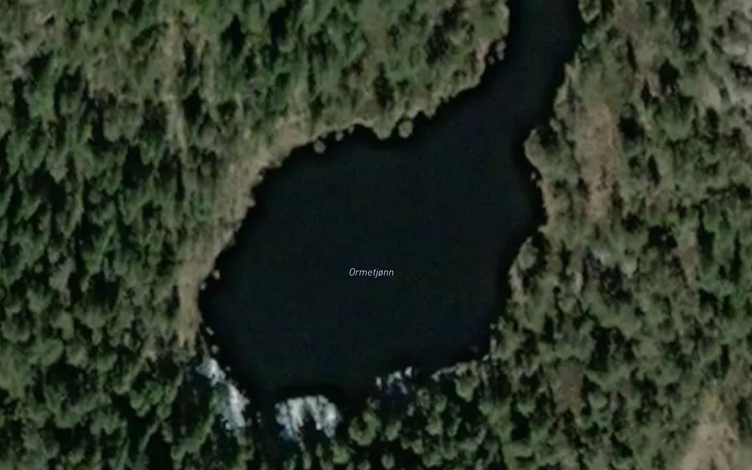 Ormtjorn