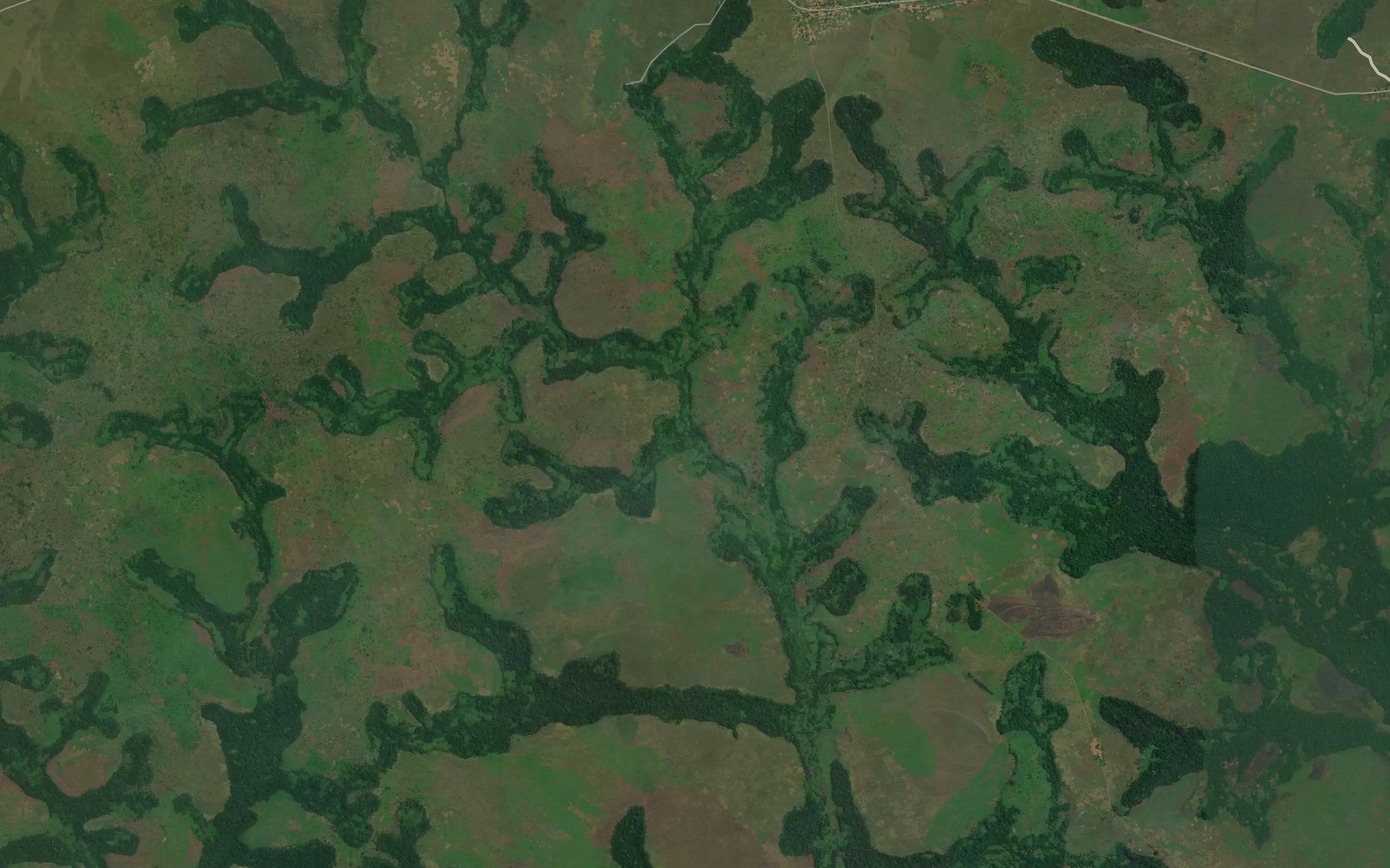 Kamiangu