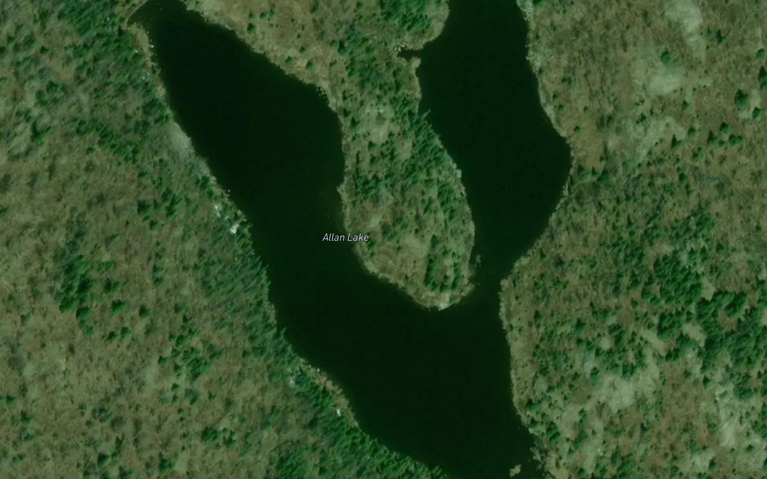 Allan Lake