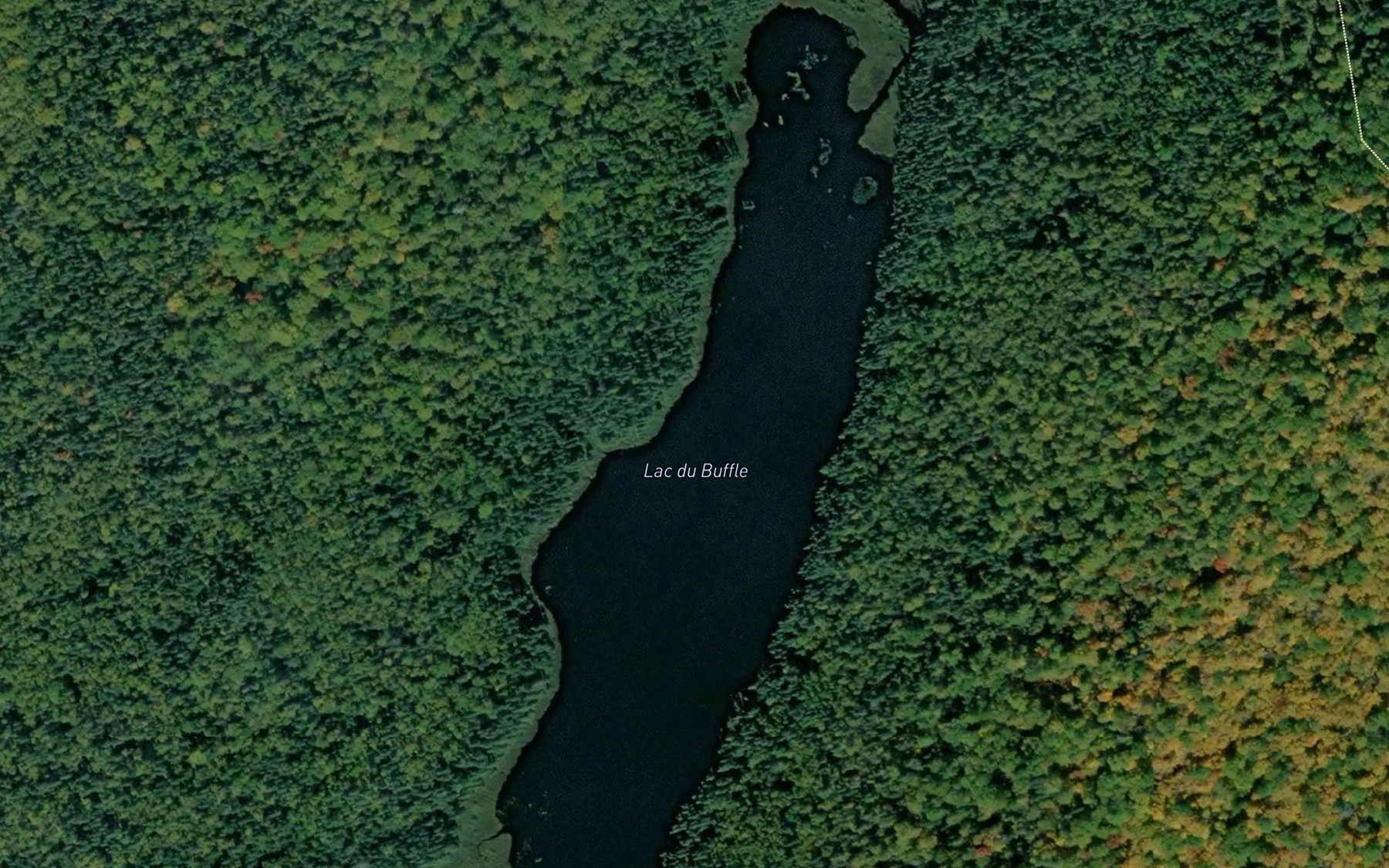 Satellite map of the Lac du Buffle