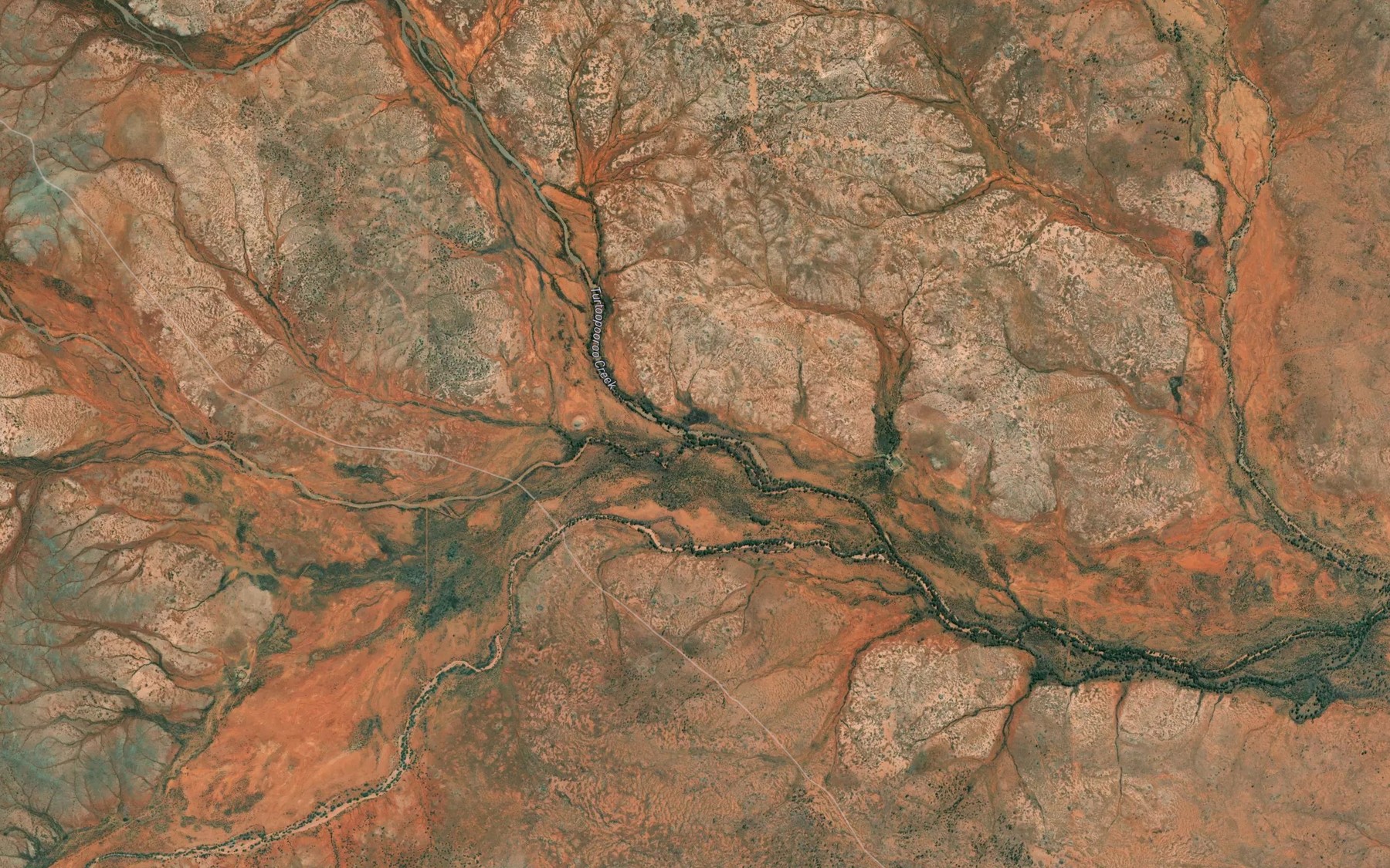 Satellite map of the Turtoopooroo Creek