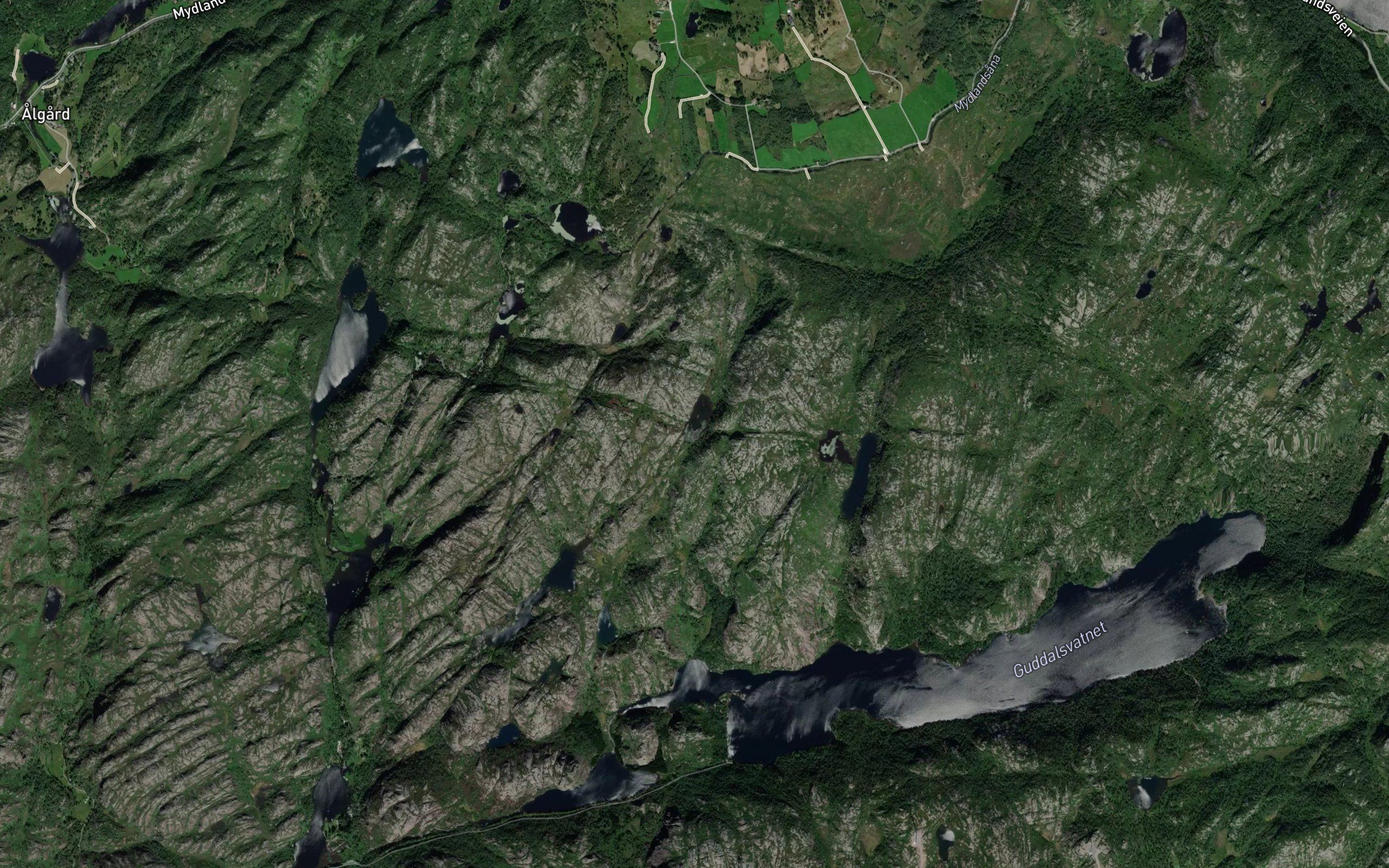 Djupedaltjorna