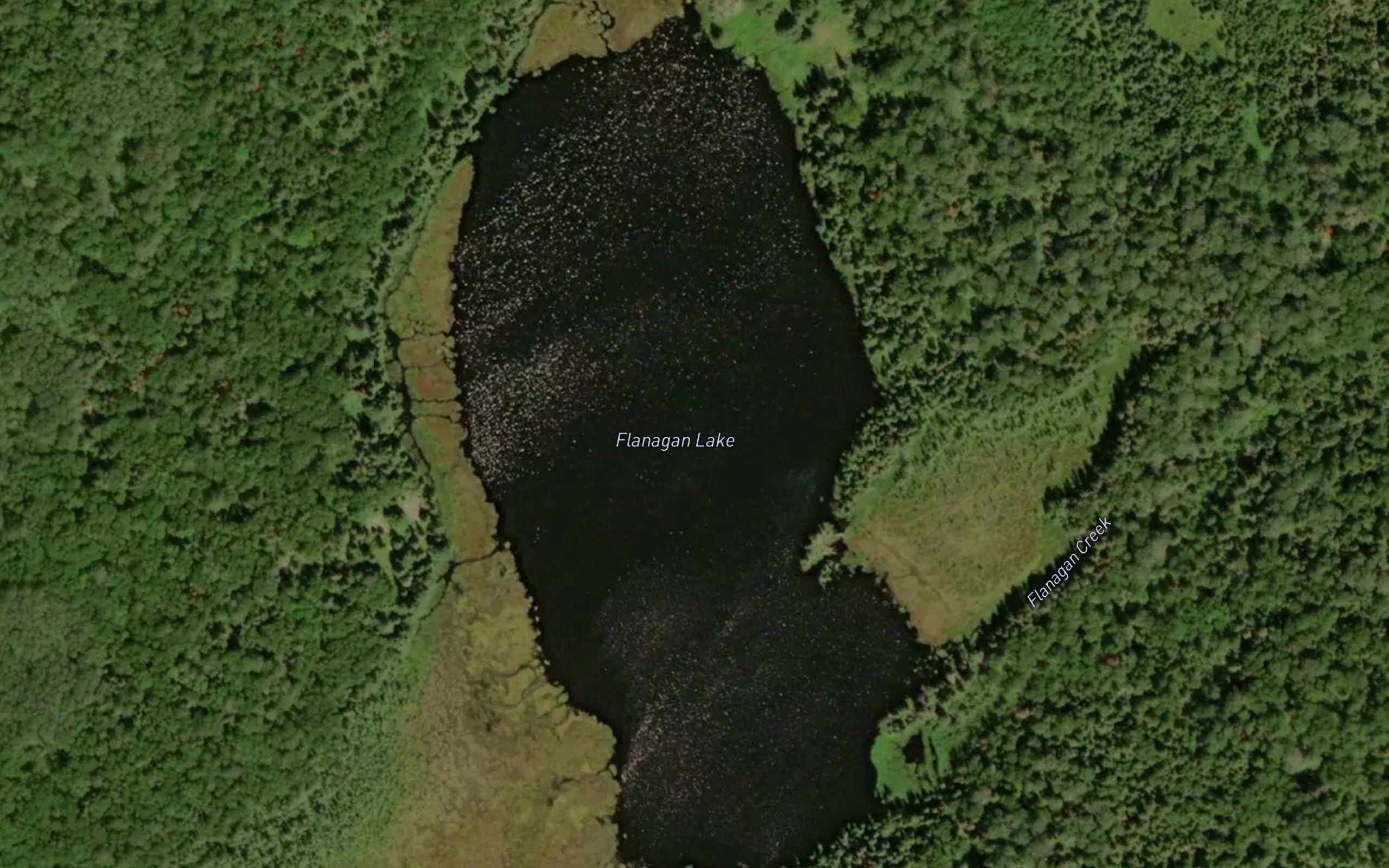 Flanagan Lake