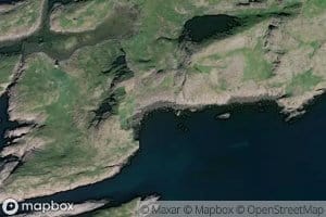 Reidvika