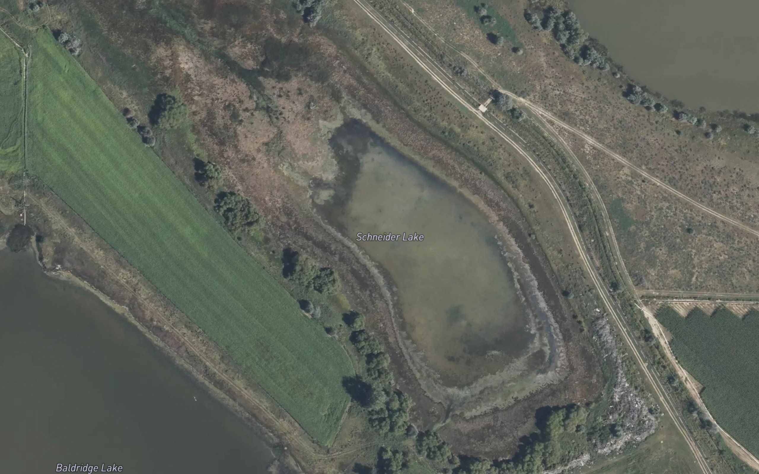 Schneider Lake