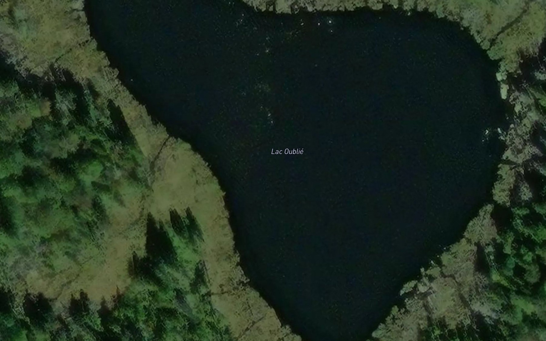 Satellite map of the Lac Oublie