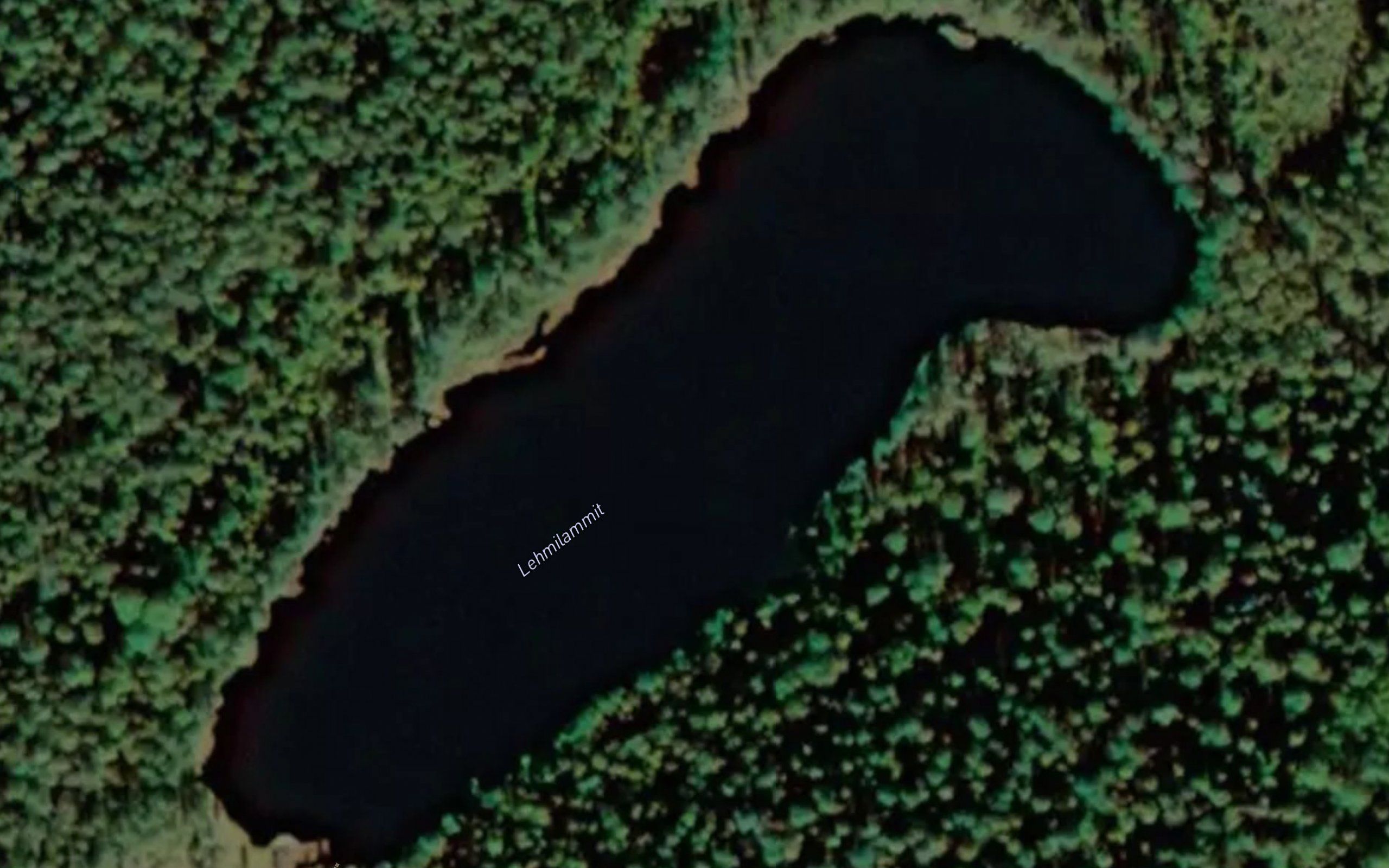 Lehmilammit